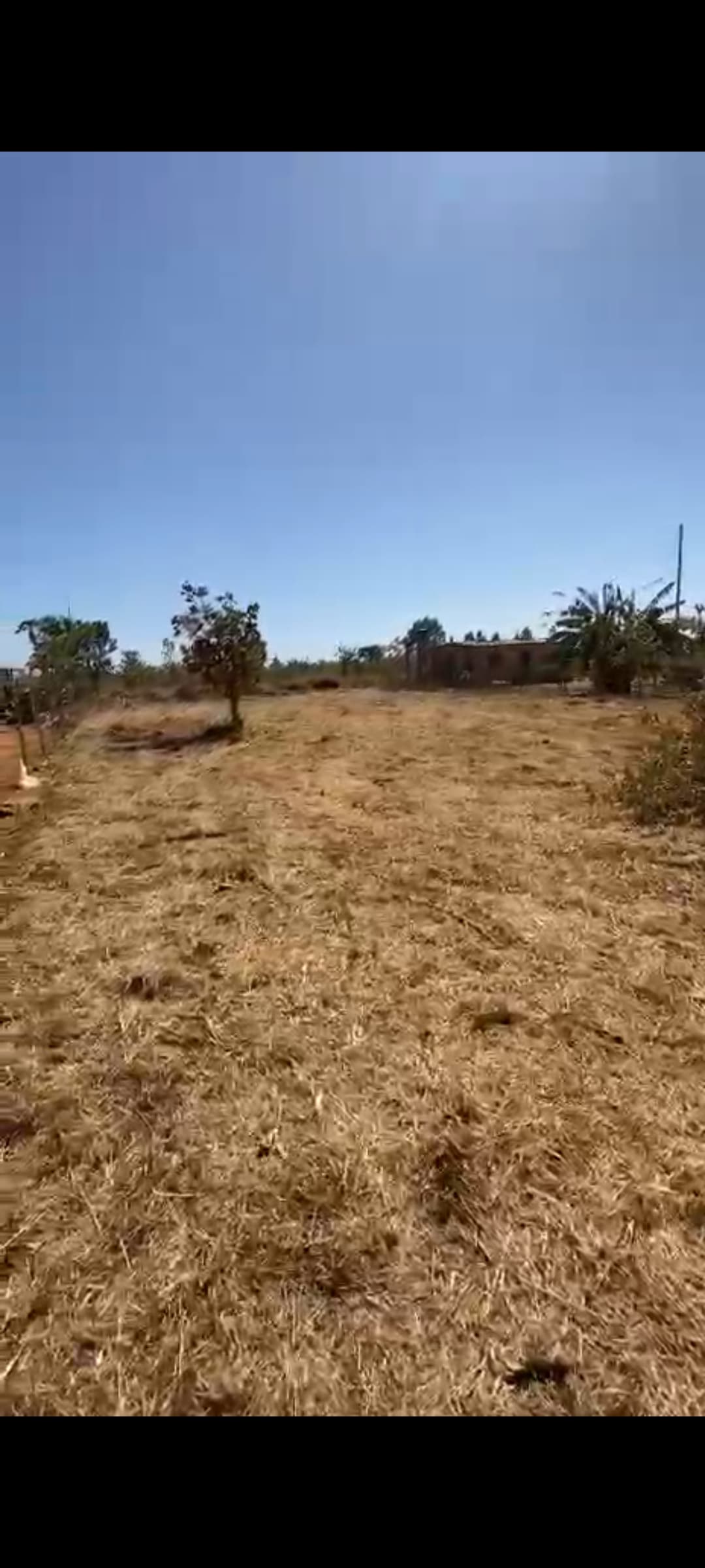 Lote Bela vista Las Vegas 2 1000m²