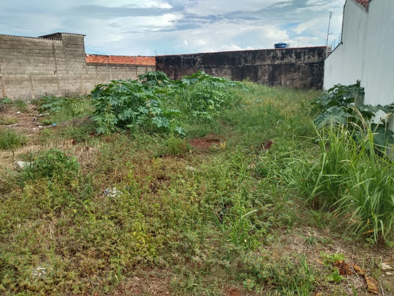 Lote Setor dos Afonsos - 453m²