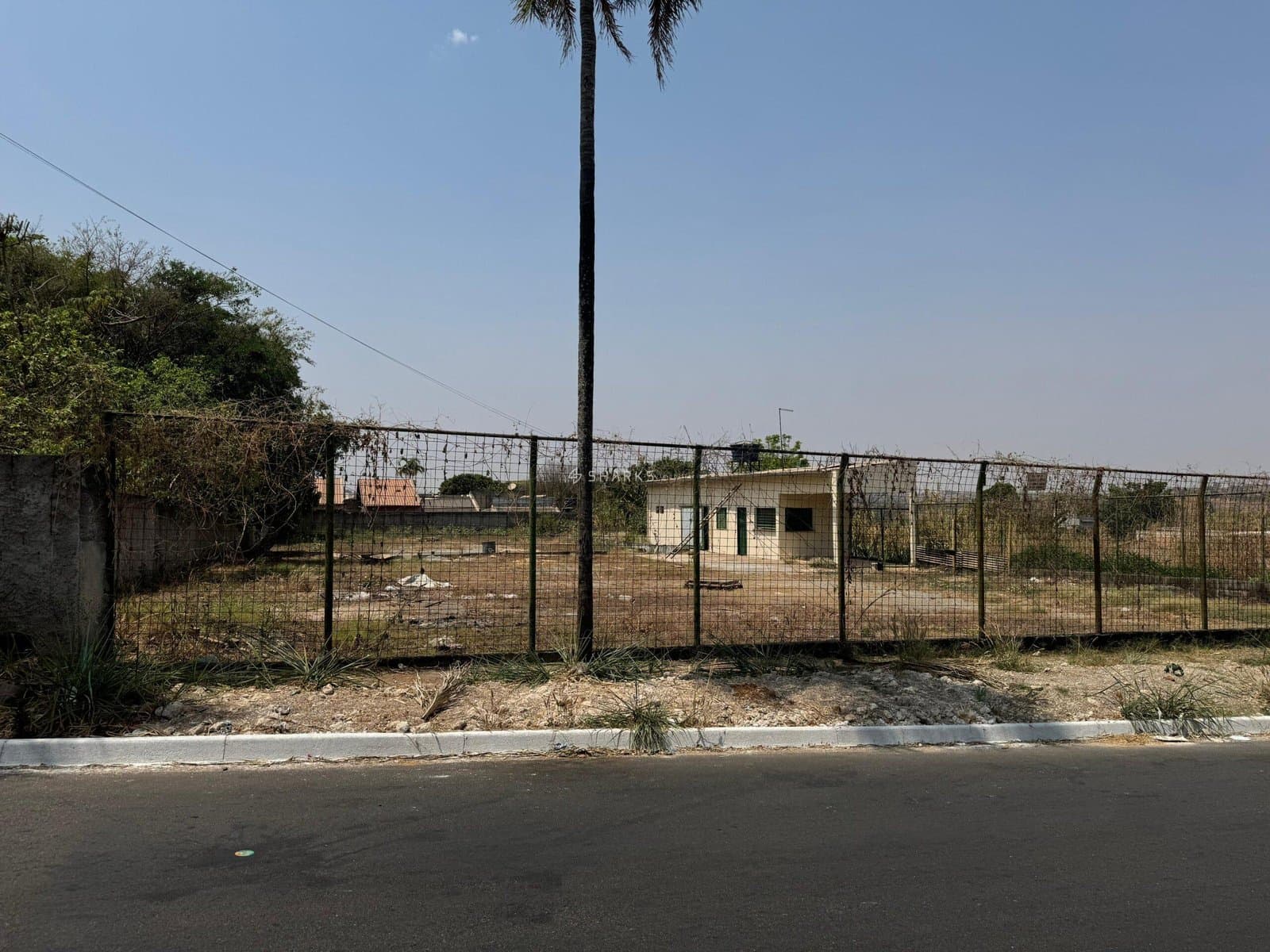 WhatsApp Image 2024-09-23 at 13.54.00