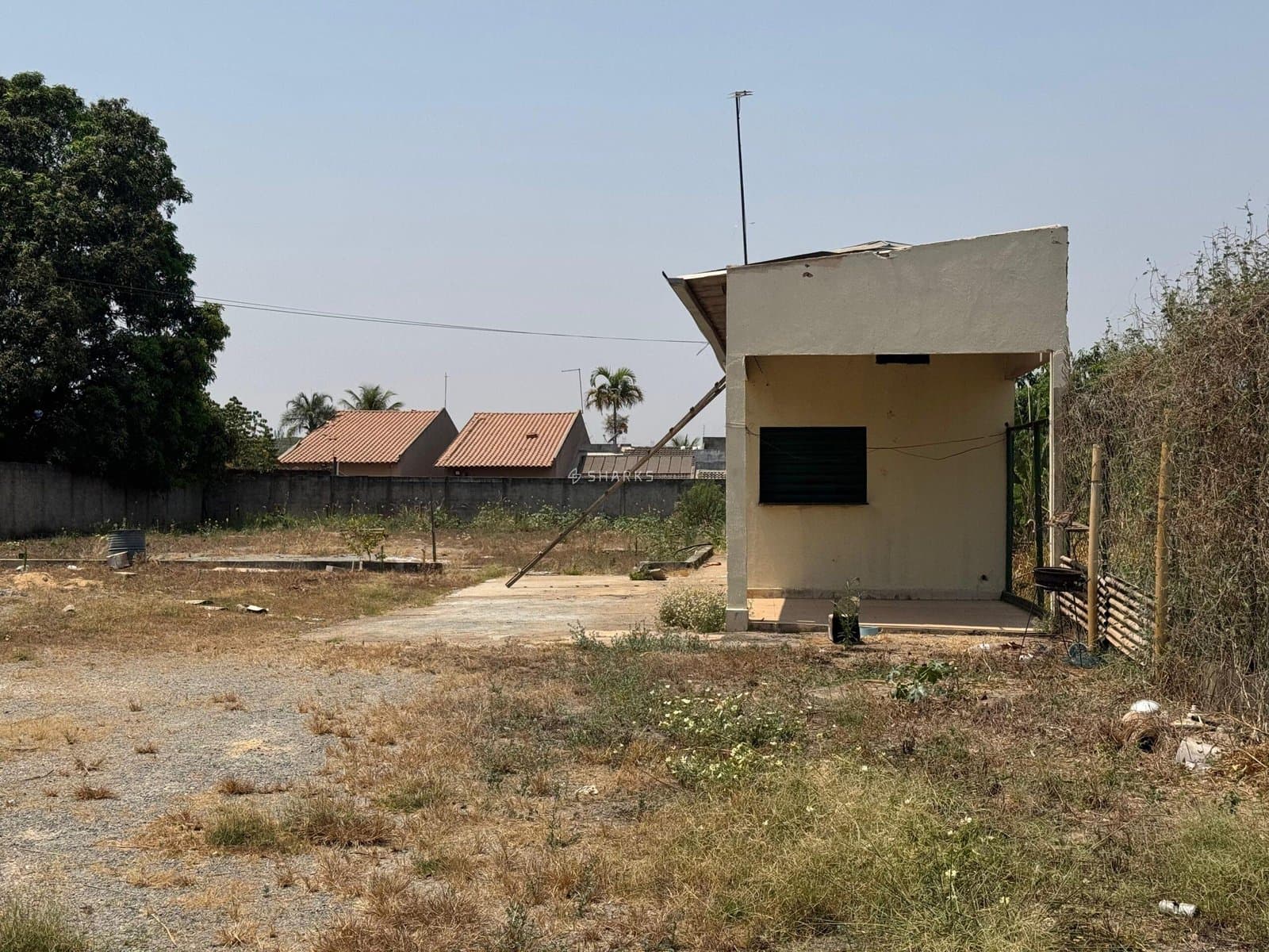 WhatsApp Image 2024-09-23 at 13.54.03