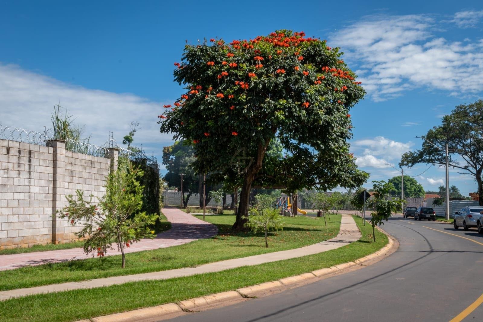 9a2664fb-379e-46ca-81a6-a0b28adc6058