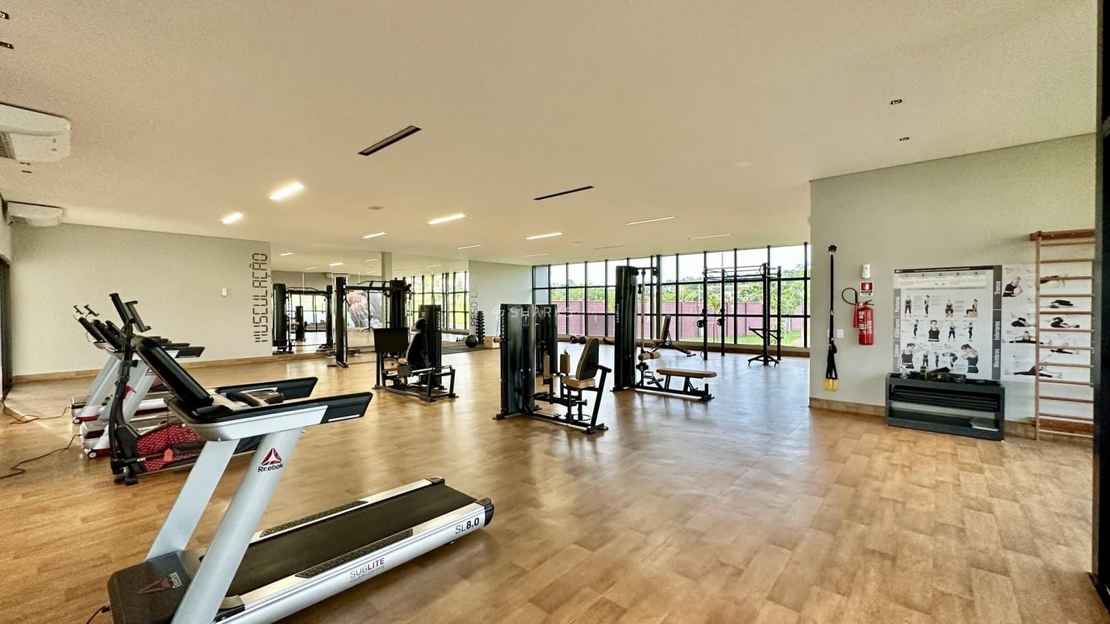 IMG_9766 (2023_11_29 11_52_18 UTC)