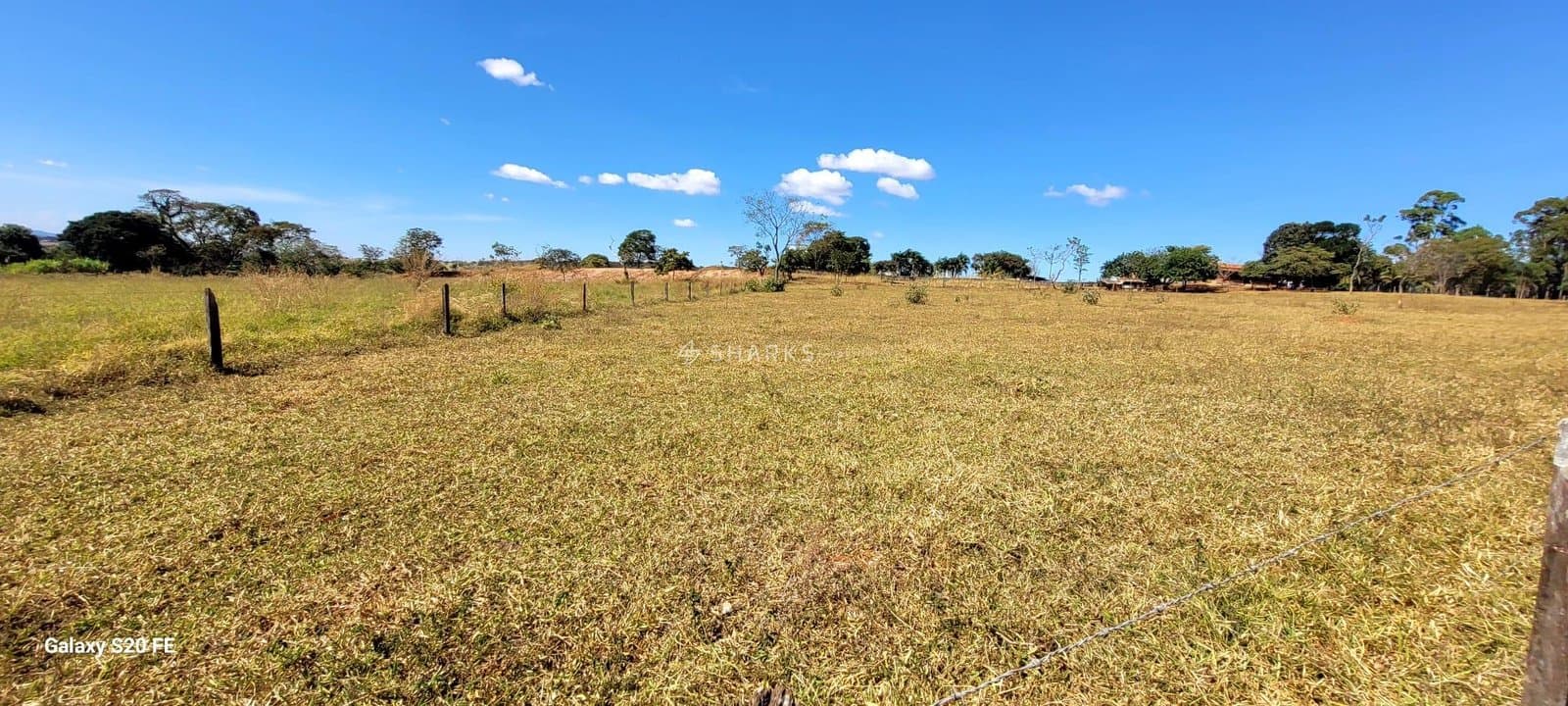 WhatsApp Image 2024-06-09 at 13.55.36 (1)