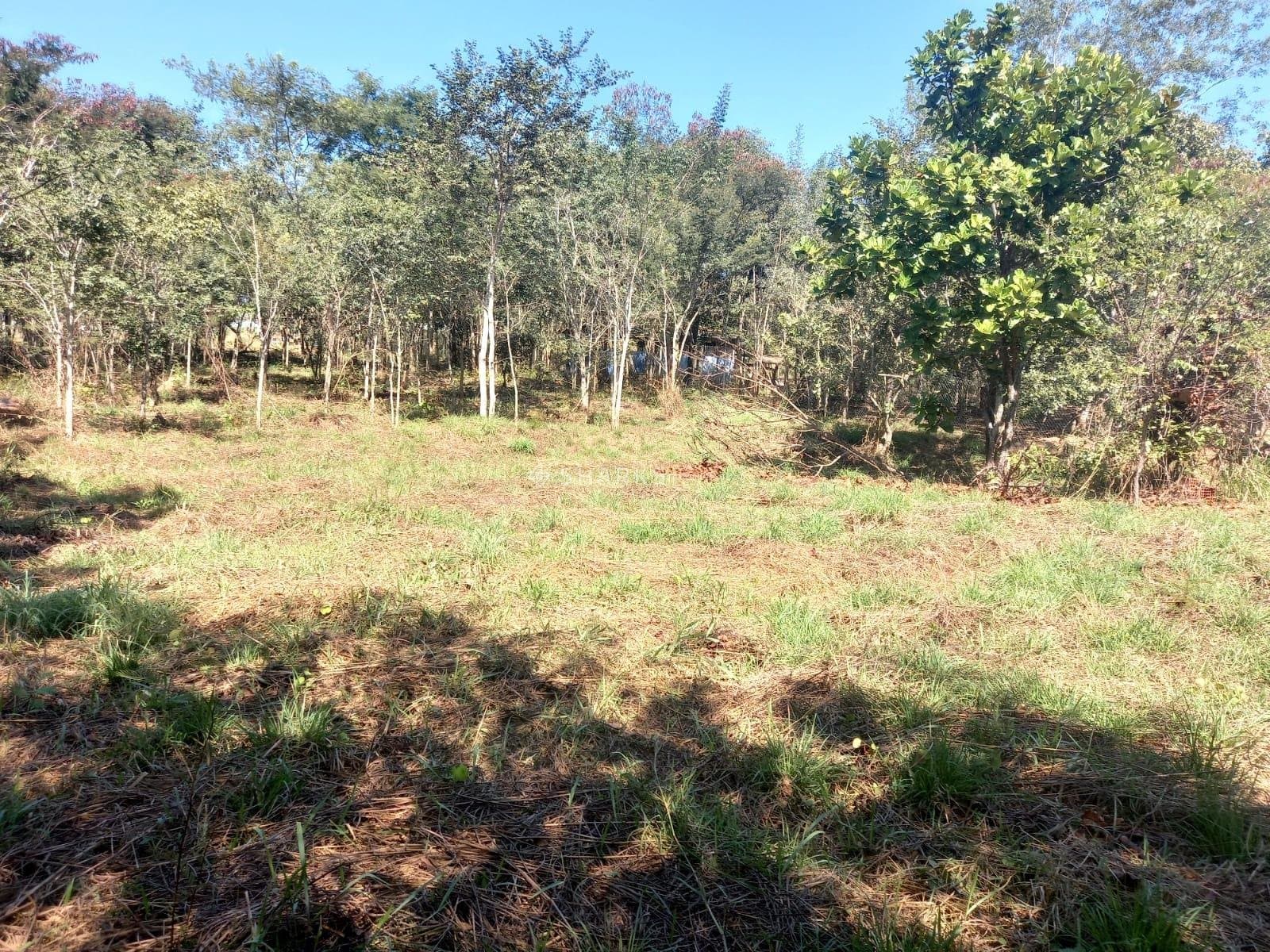 WhatsApp Image 2024-01-22 at 09.44.20