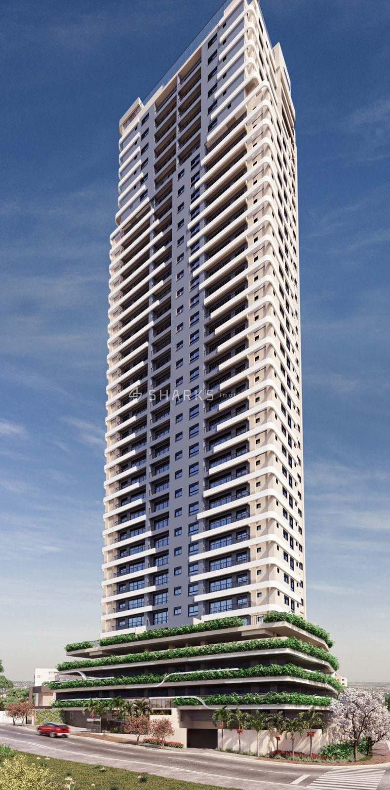 PHOTO-2024-07-19-16-54-33 3