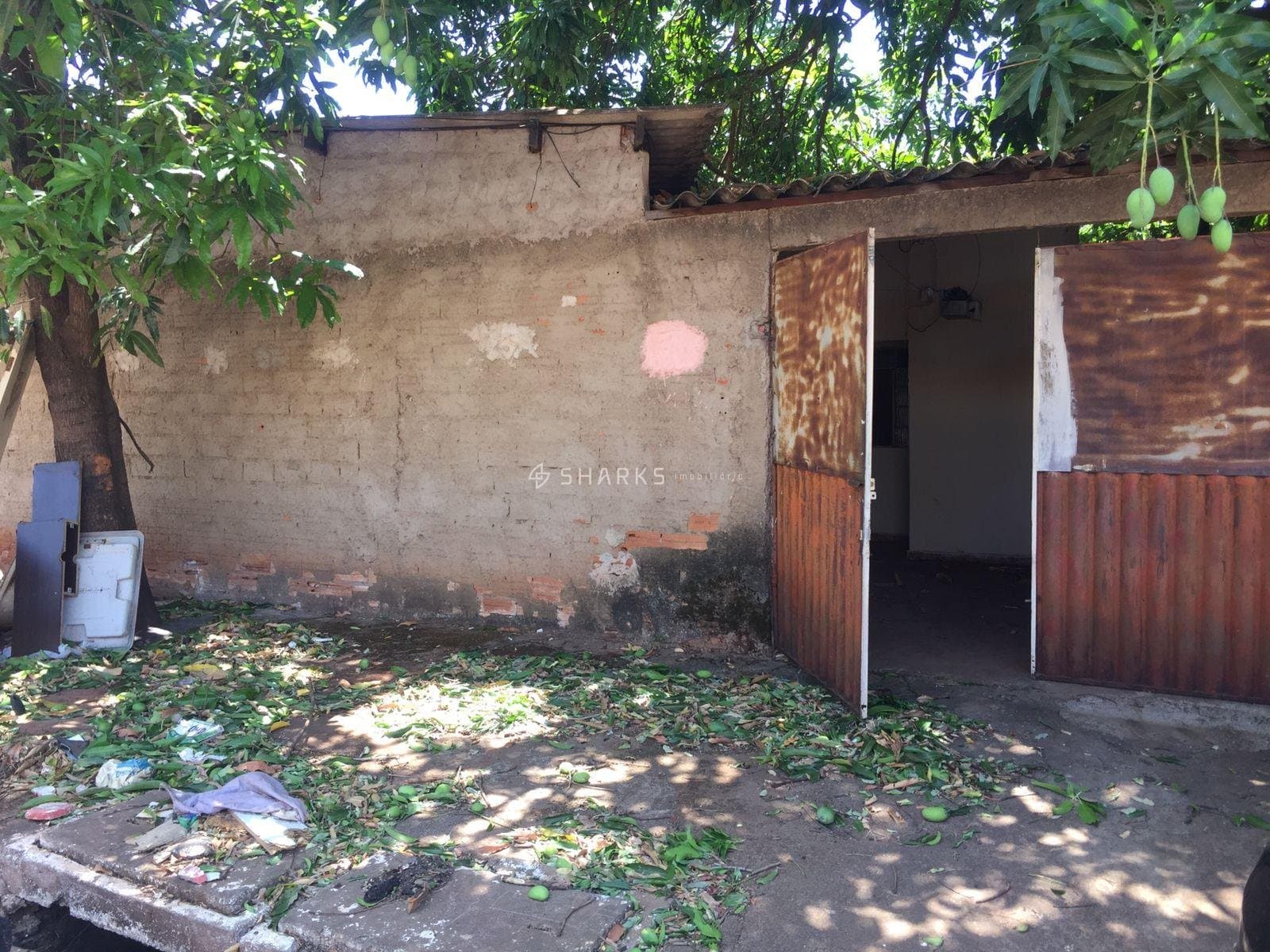 b6d17433-c53d-4d78-8025-4696fcd72edb