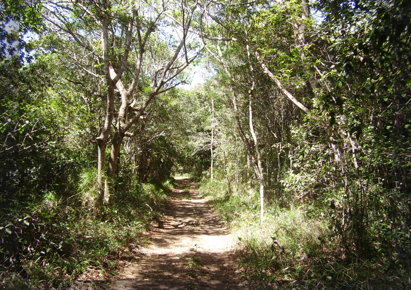1 Alqueire em Terezopolis de Goiás (há 30 minutos de Goiânia)