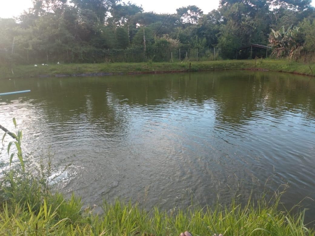 Chácara dos Sonhos a 40 km de Goiânia: Lago com Peixes, 2 Poços Artesianos, Lazer Completo e Estrutura para Produção!