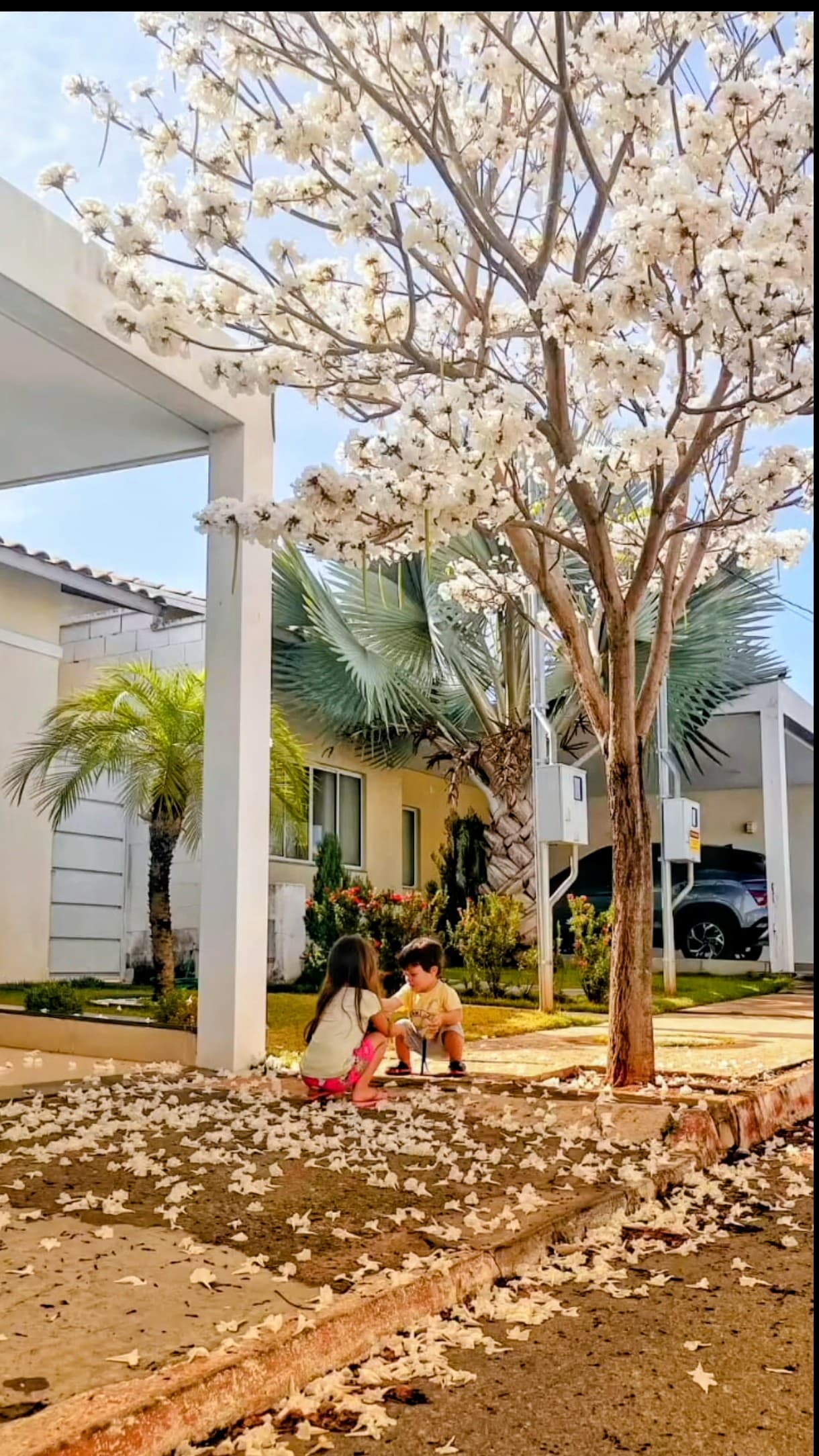 Casa Condomínio Parque Aroeira Jardim Guanabara II 90m²
