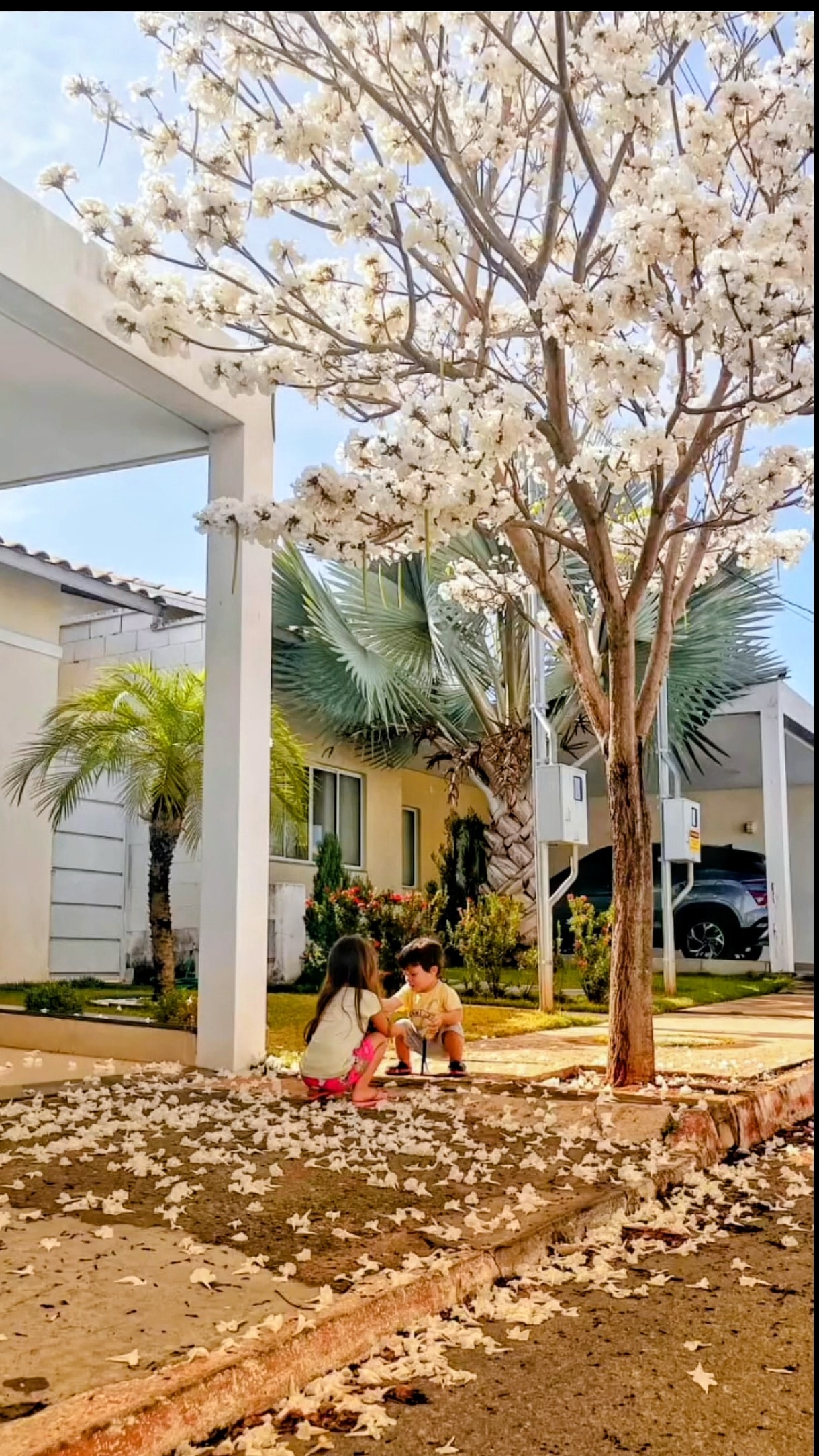 Casa Condomínio Parque Aroeira Jardim Guanabara II 90m²