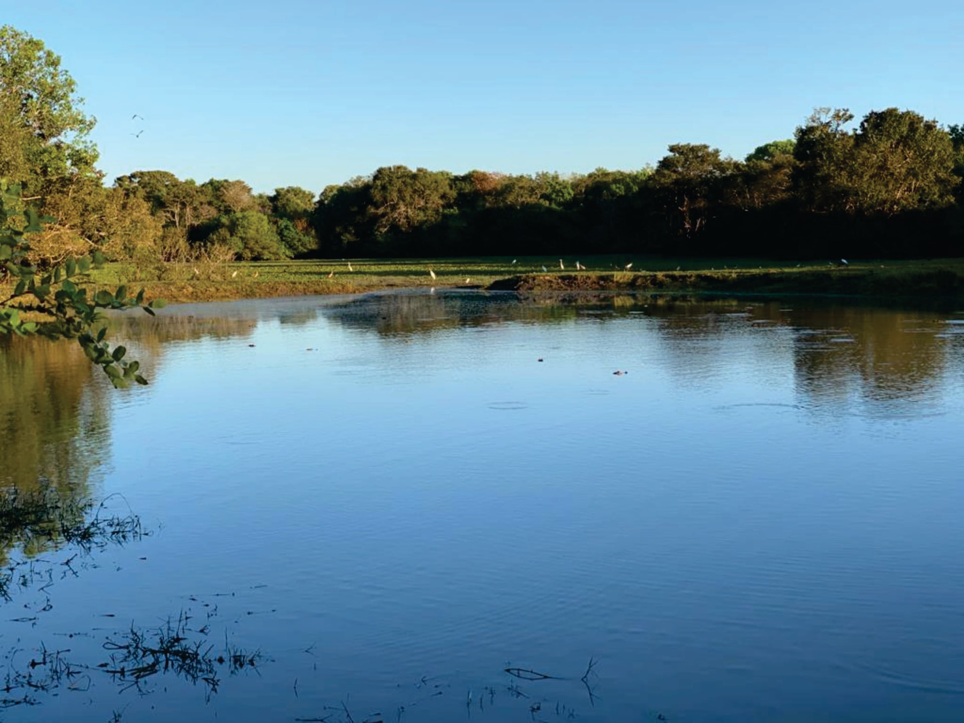 Fazenda com 7.069,01 ha no município de Cocalinho Mato Grosso Divisa com Goiás e Mato Grosso
