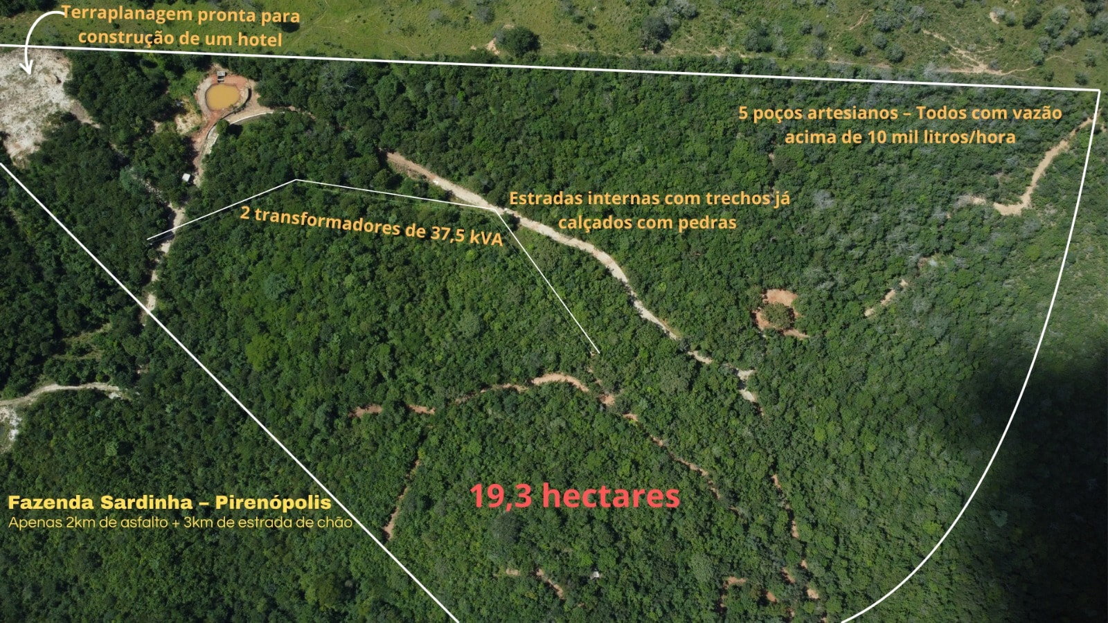 FAZENDA SARDINHA EM PIRENÓPOLIS - GO