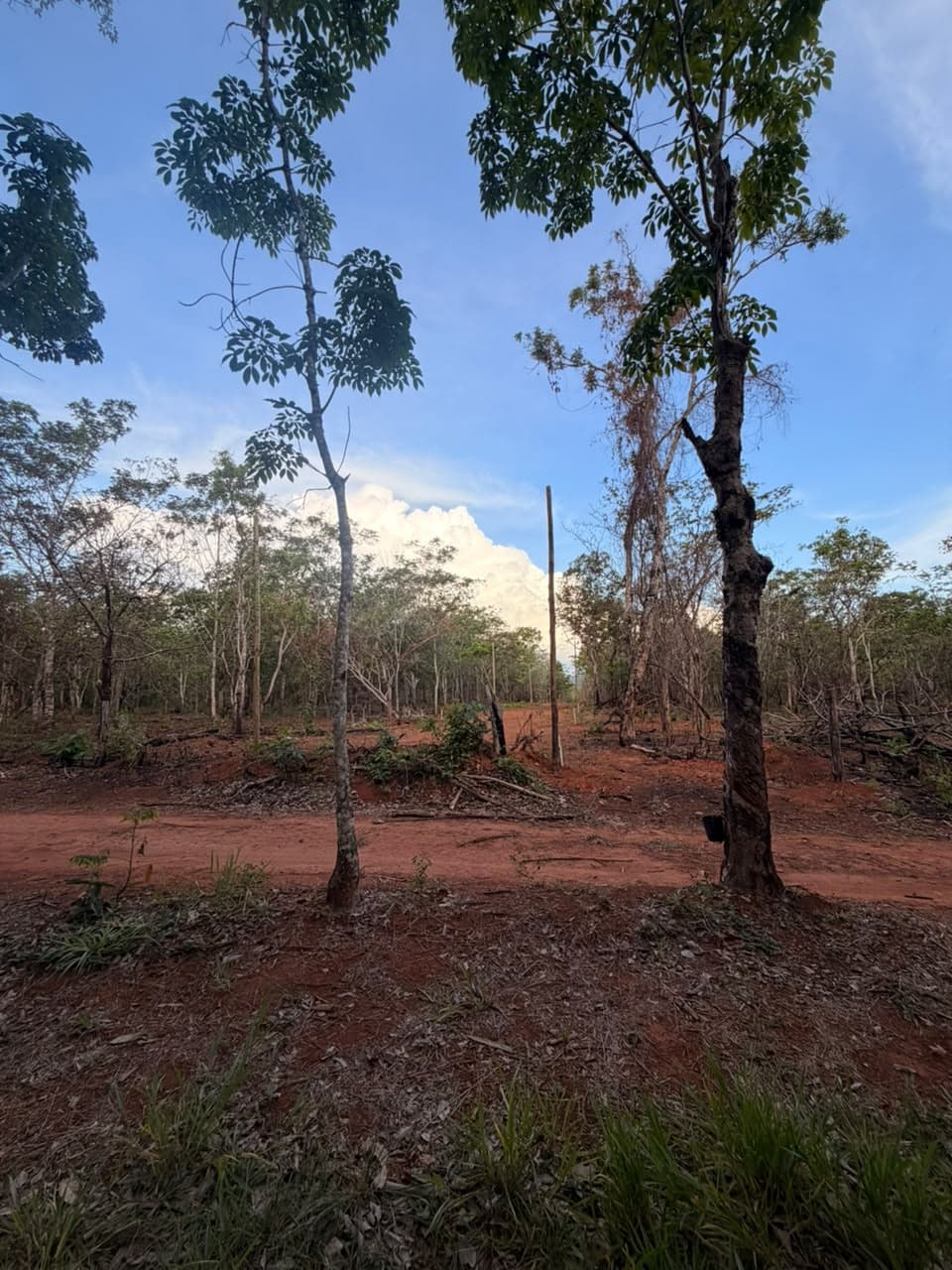 TERRENOS EM PIRENOPOLIS