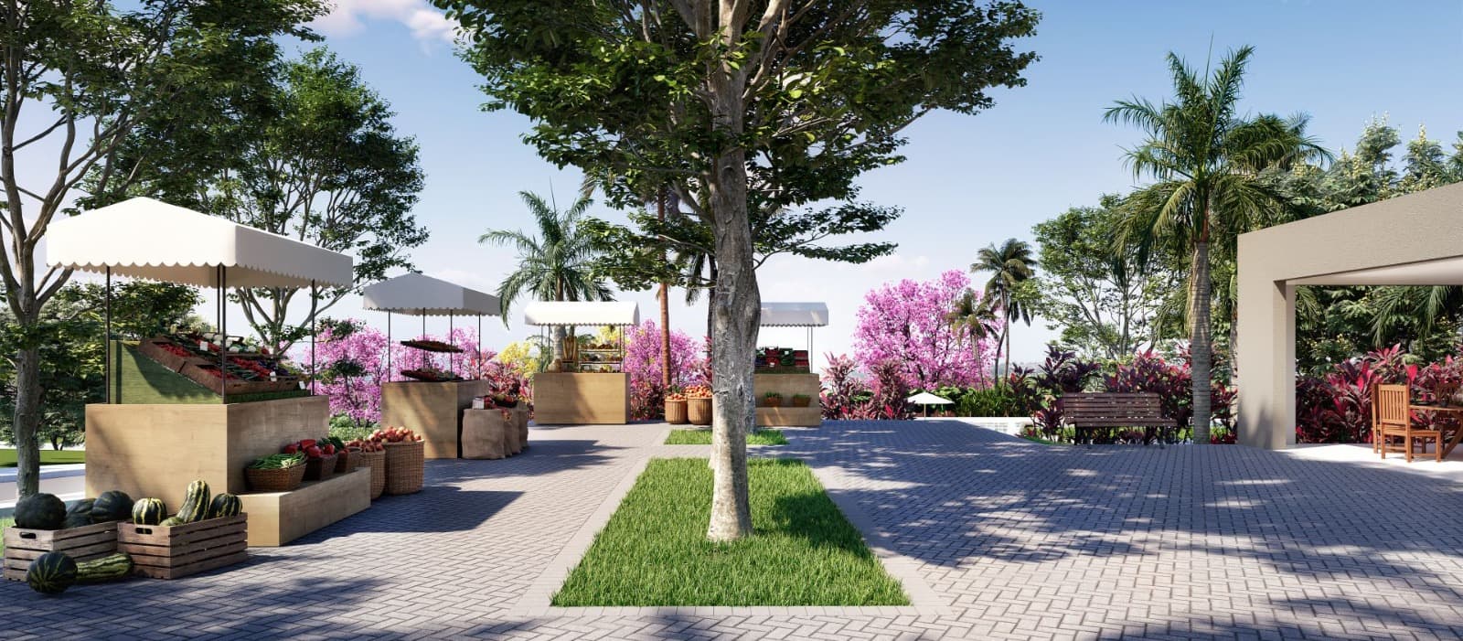 Lote Jardins Roma 281m²