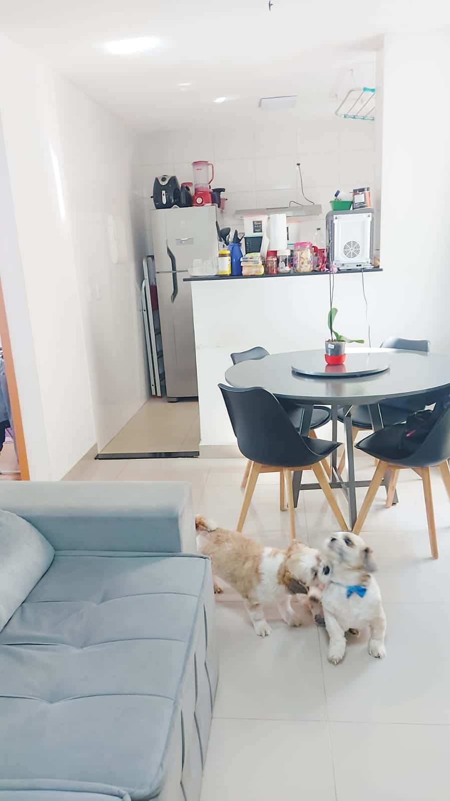Apartamento Golden Park 53m²