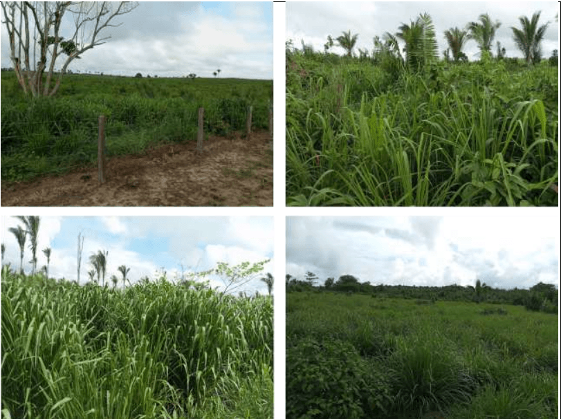 Fazenda Recanto da Lagoa Nova 21.728.700m²