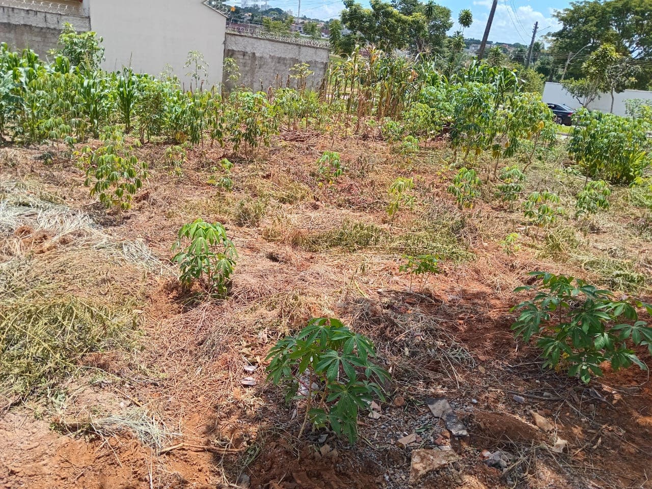 Lote no Bairro Cardoso 680,12m²