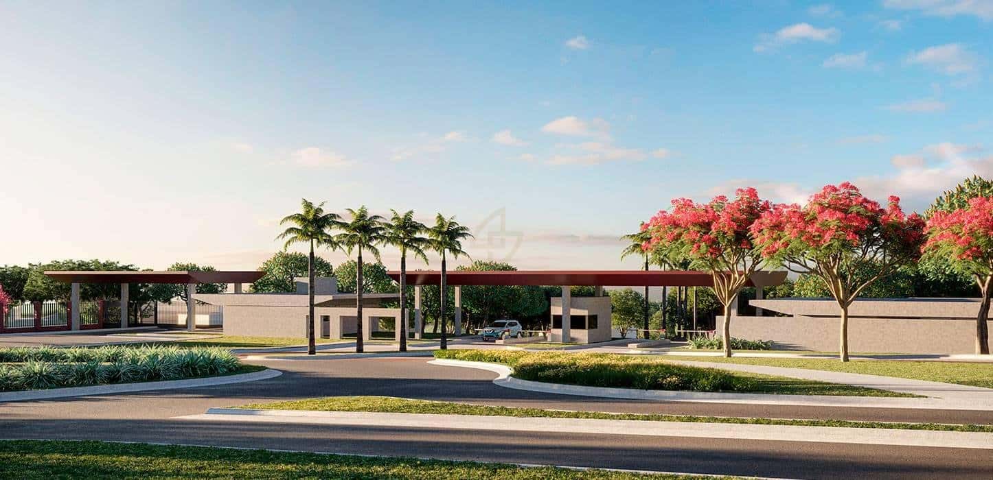 WhatsApp Image 2024-11-26 at 15.32.26