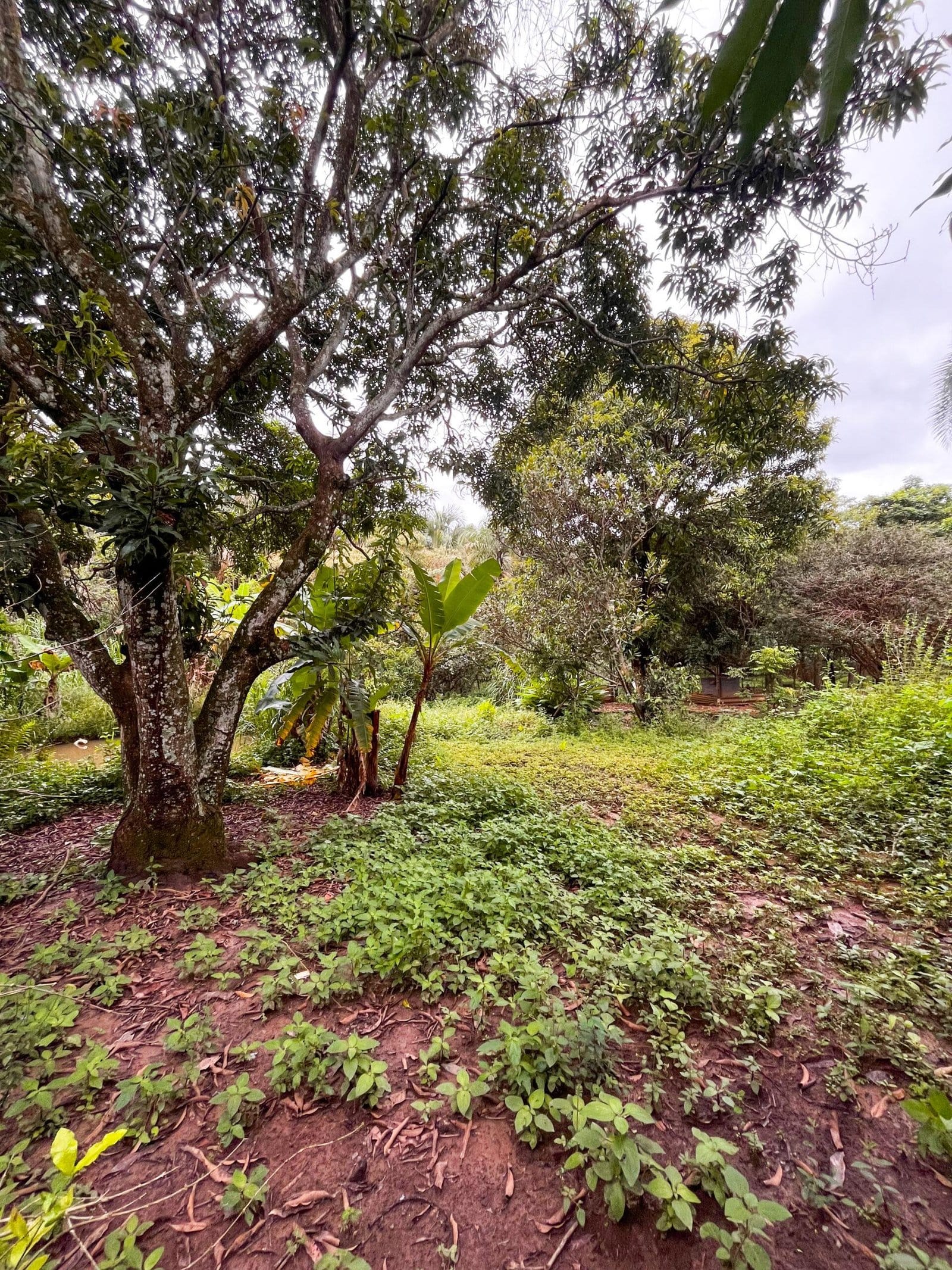 Chácara Jardim Canedo II 1.464m²