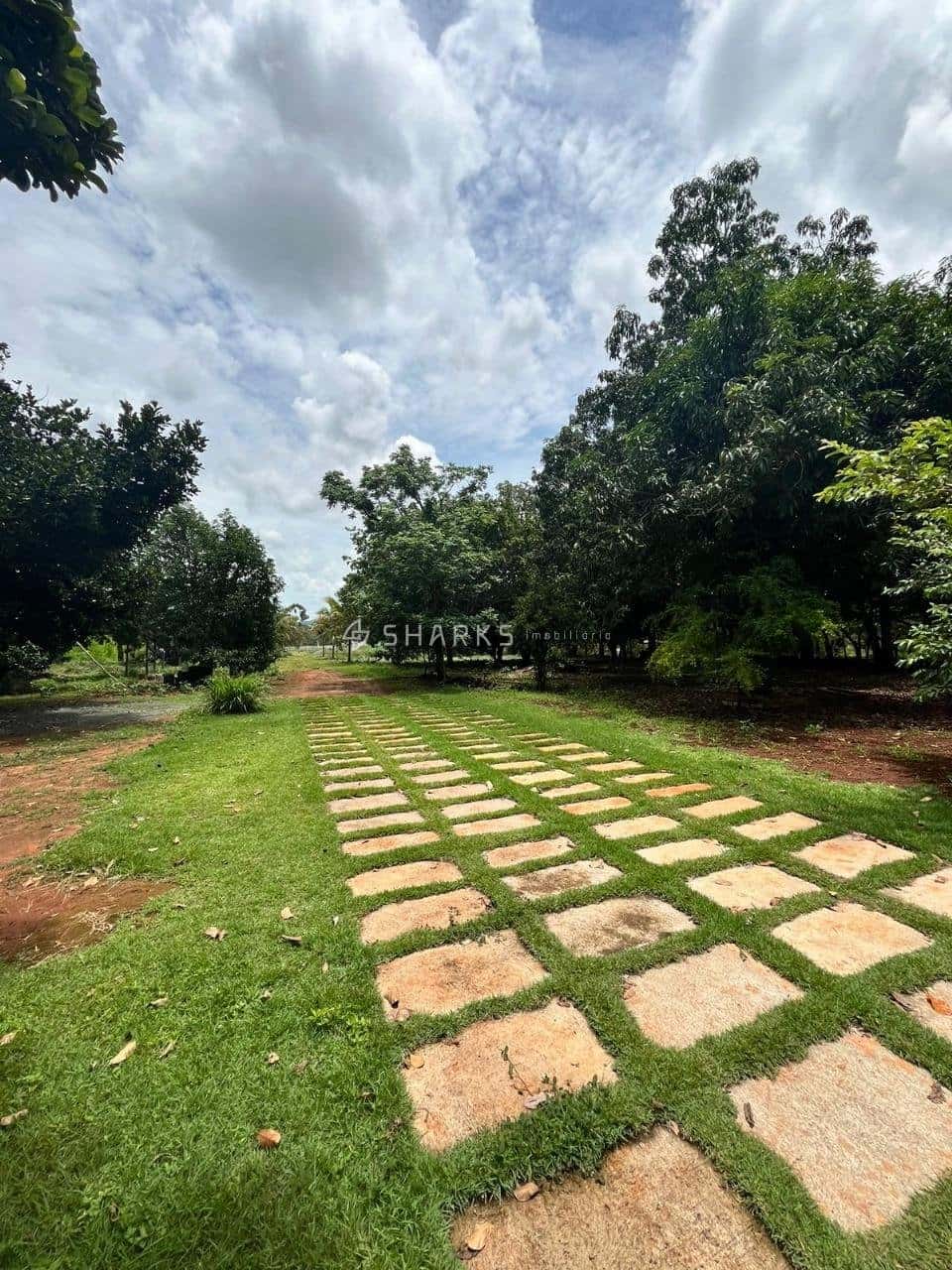 WhatsApp Image 2024-07-09 at 12.04.33 (1)