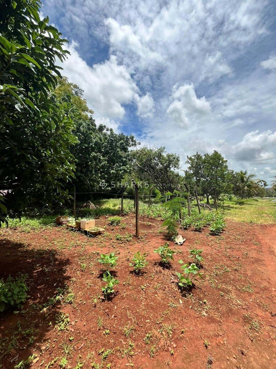 WhatsApp Image 2024-07-09 at 12.04.33