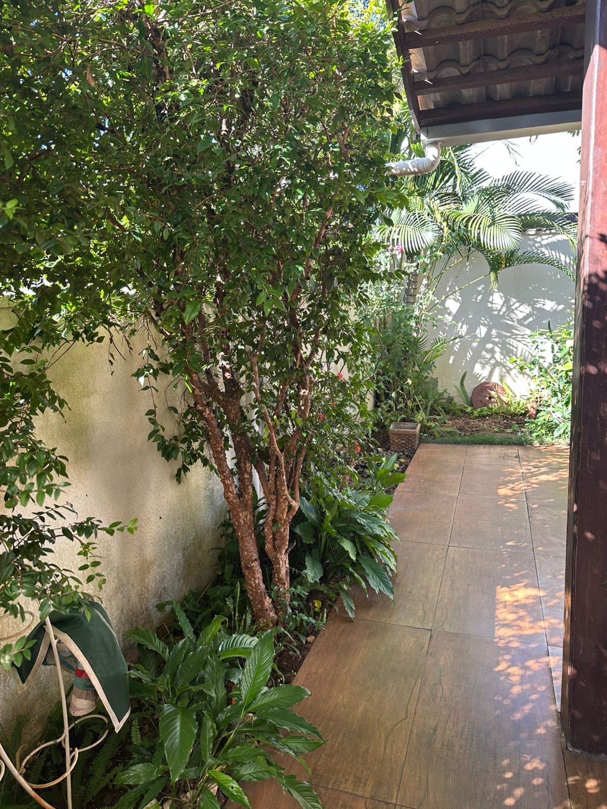 Jardim