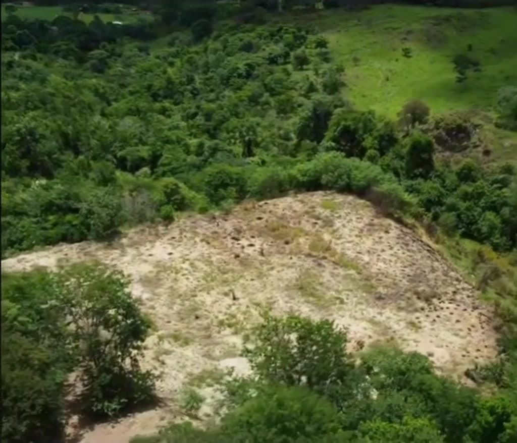 FAZENDA SARDINHA EM PIRENÓPOLIS - GO