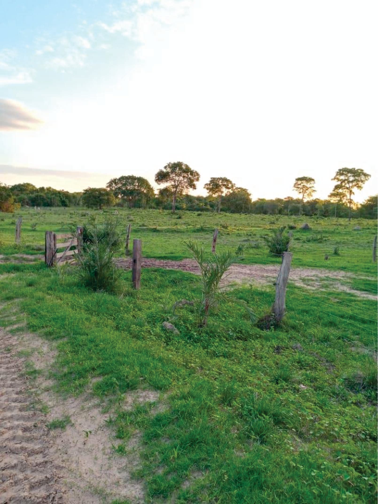 Oportunidade única fazenda gigante Mato Grosso para pecuária de grande escala divisa Goiás e Tocantins