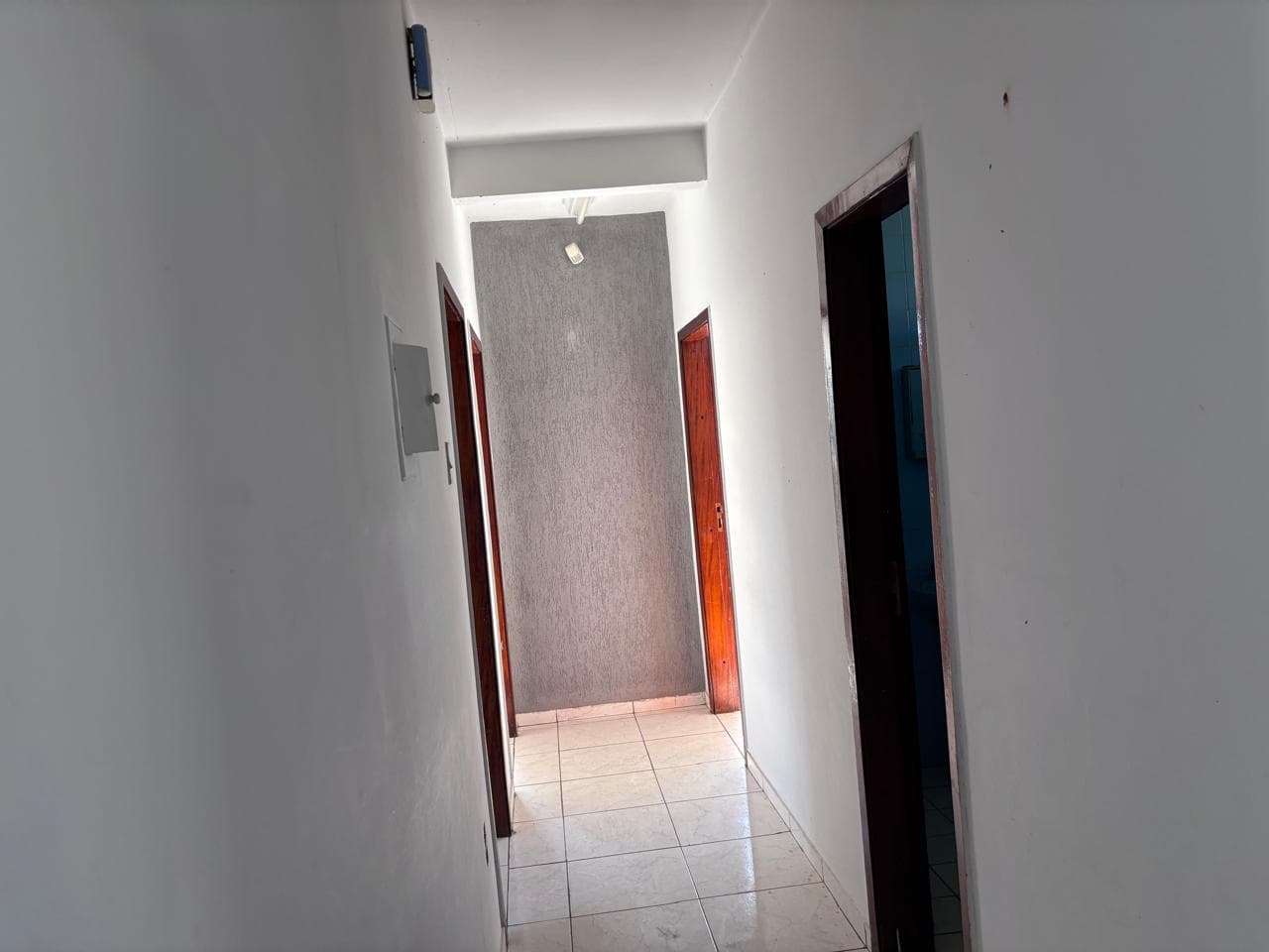 Circulacao