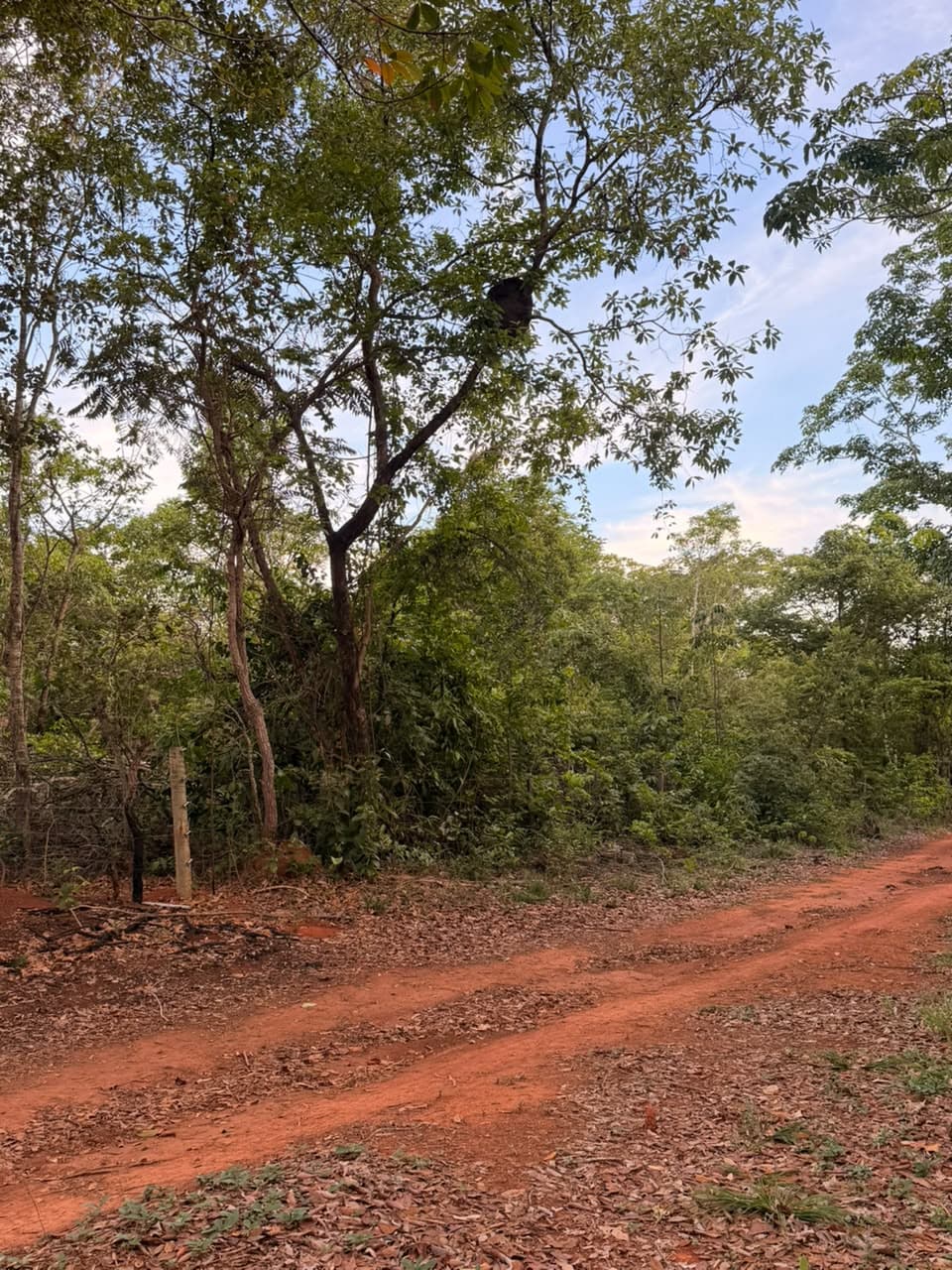 TERRENOS EM PIRENOPOLIS