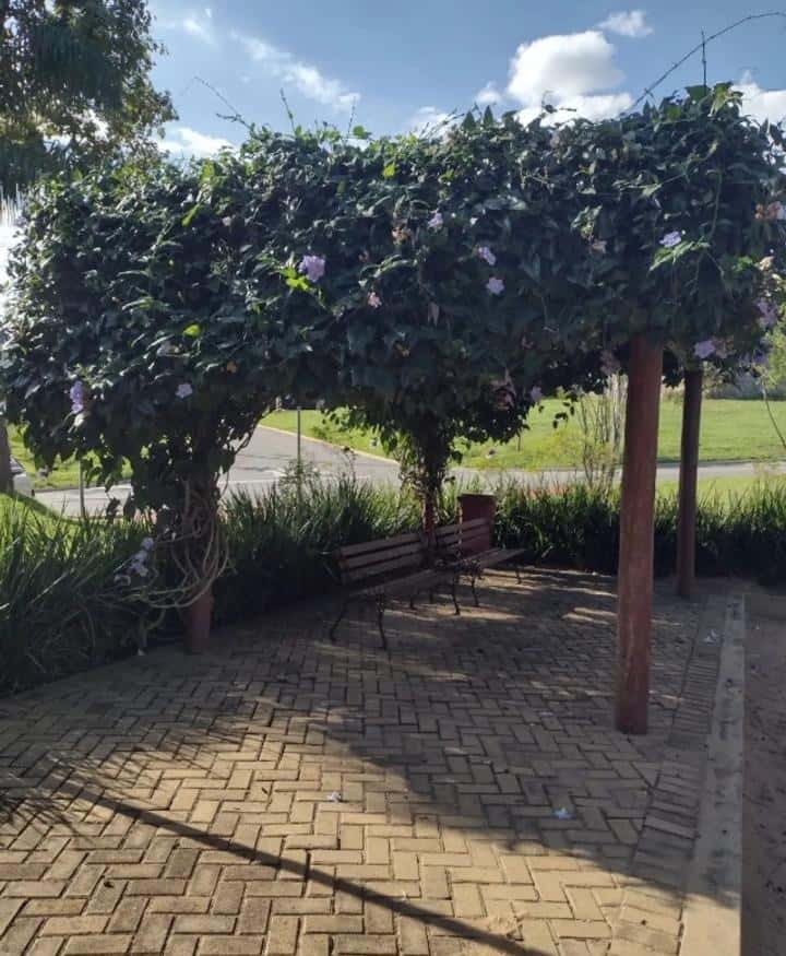 Area de convivencia