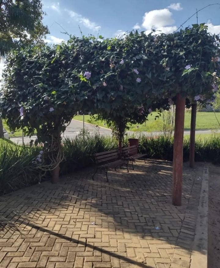 Area de convivencia