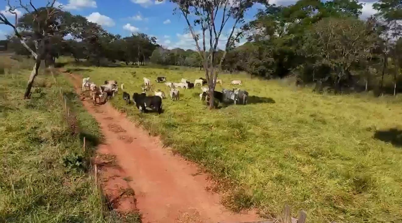 1 Alqueire em Terezopolis de Goiás (há 30 minutos de Goiânia)