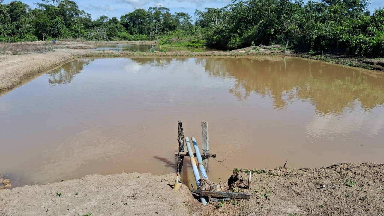 Fazenda em Silvânia Goiás 7 alqueires de terra produtiva rica em agua bem localizada oportunidade