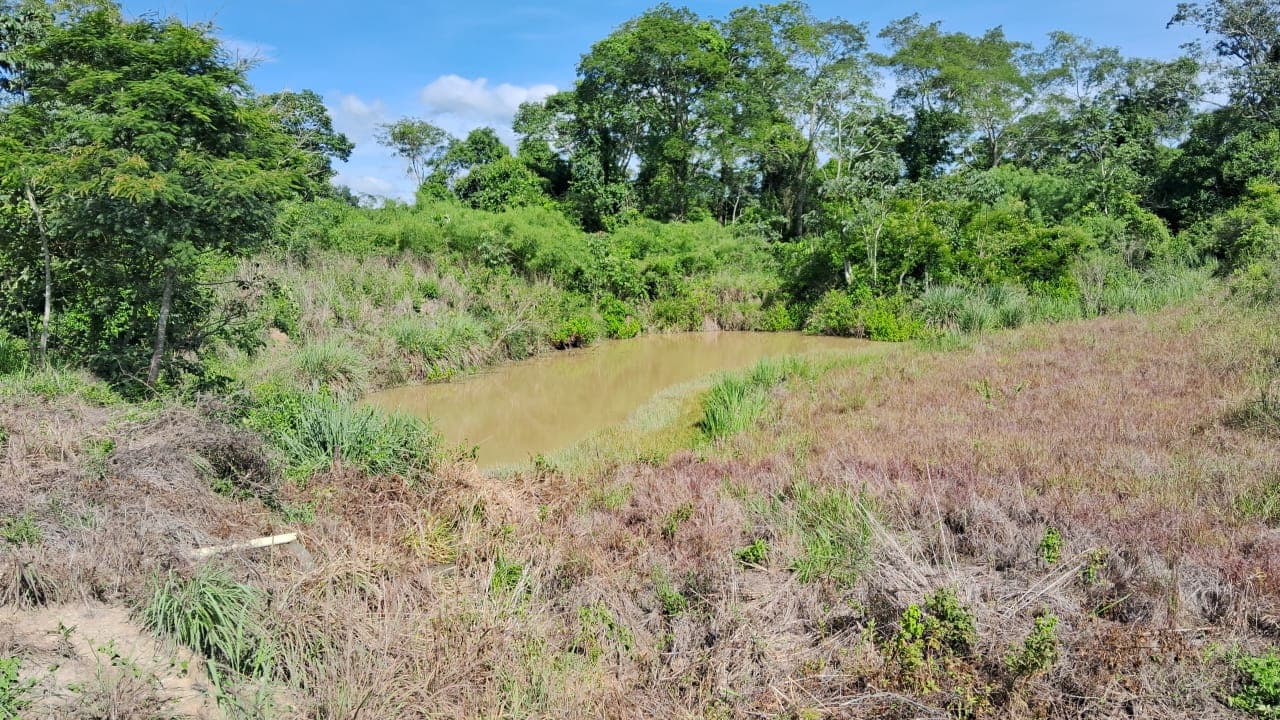 Fazenda em Silvânia Goiás 7 alqueires de terra produtiva rica em agua bem localizada oportunidade