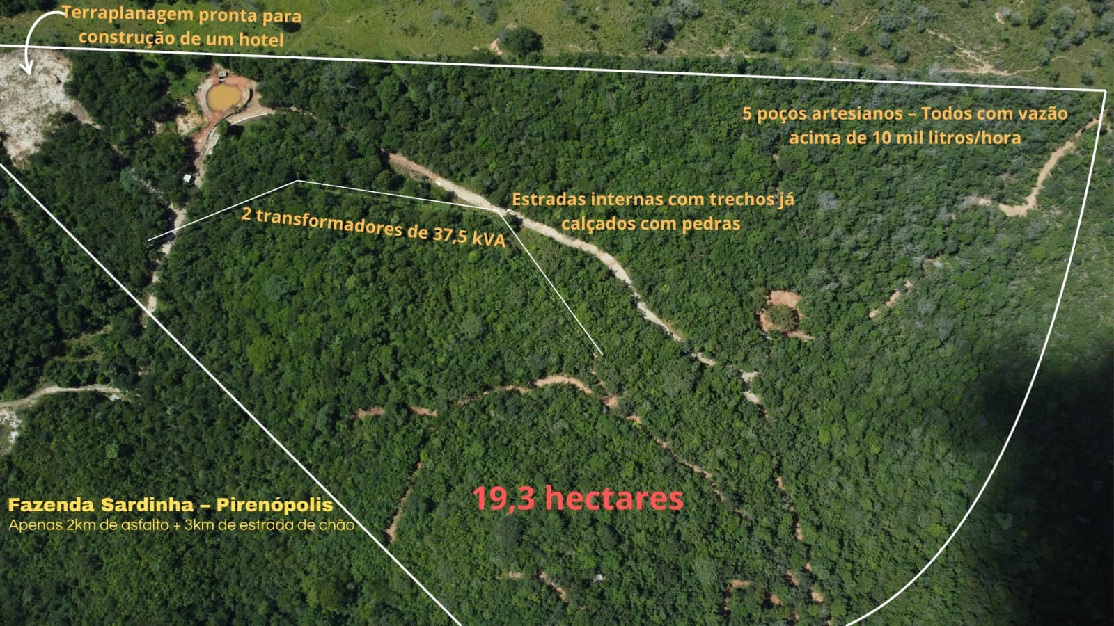 FAZENDA SARDINHA EM PIRENÓPOLIS - GO
