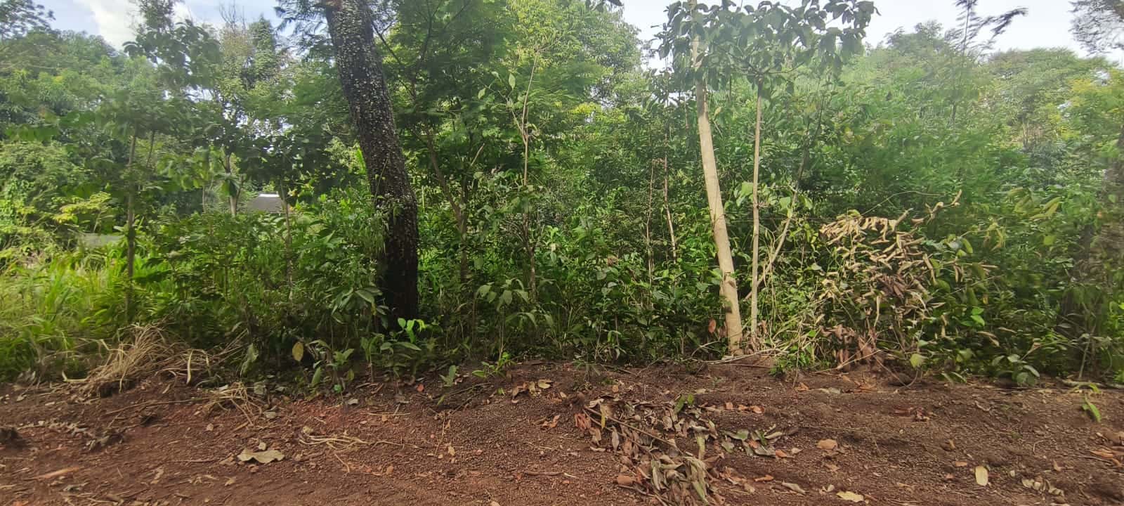 Oportunidade única lote na região da GO-020 466,09m²