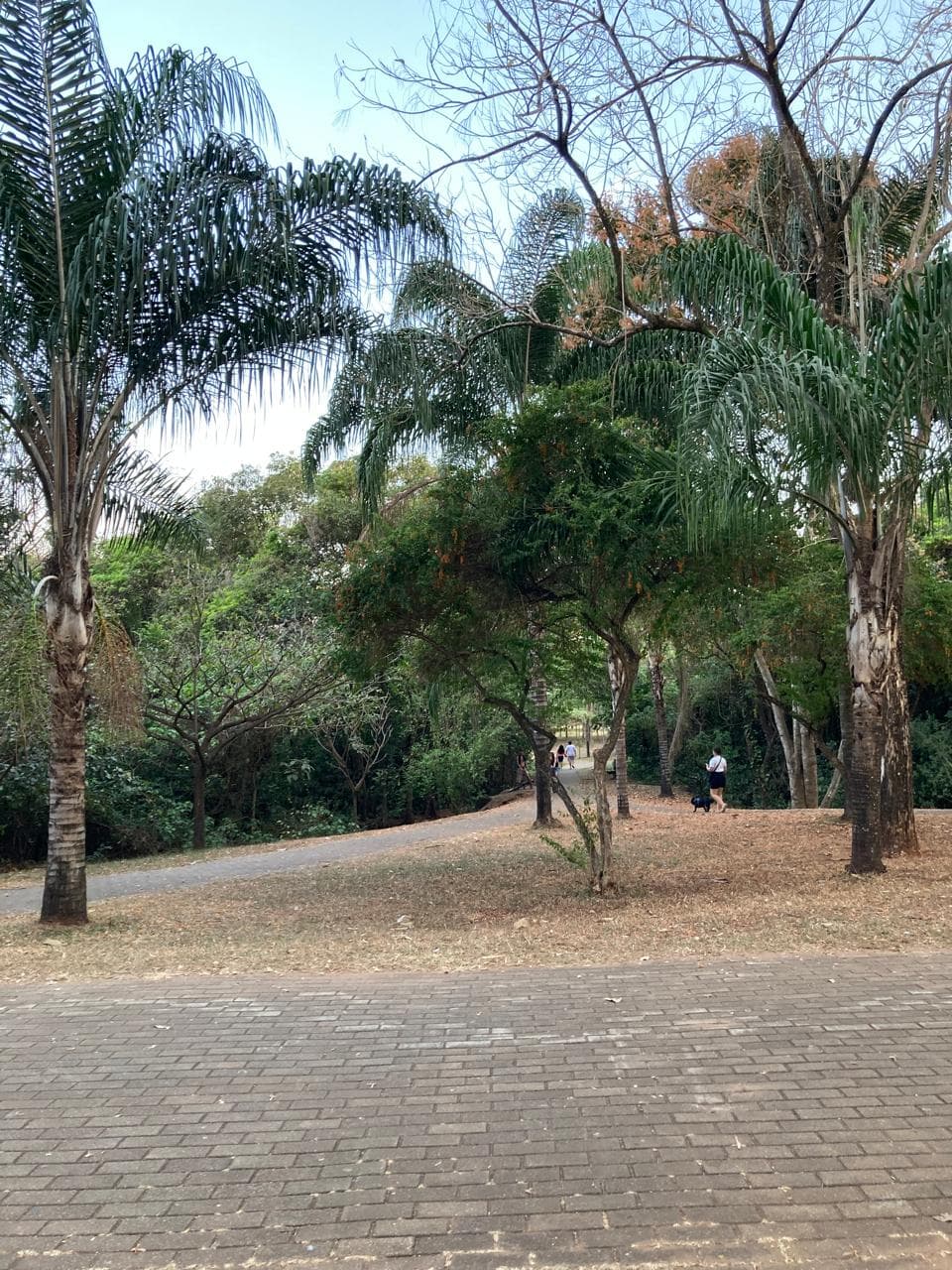 Lote em frente ao parque cascavel Jd. Atlântico