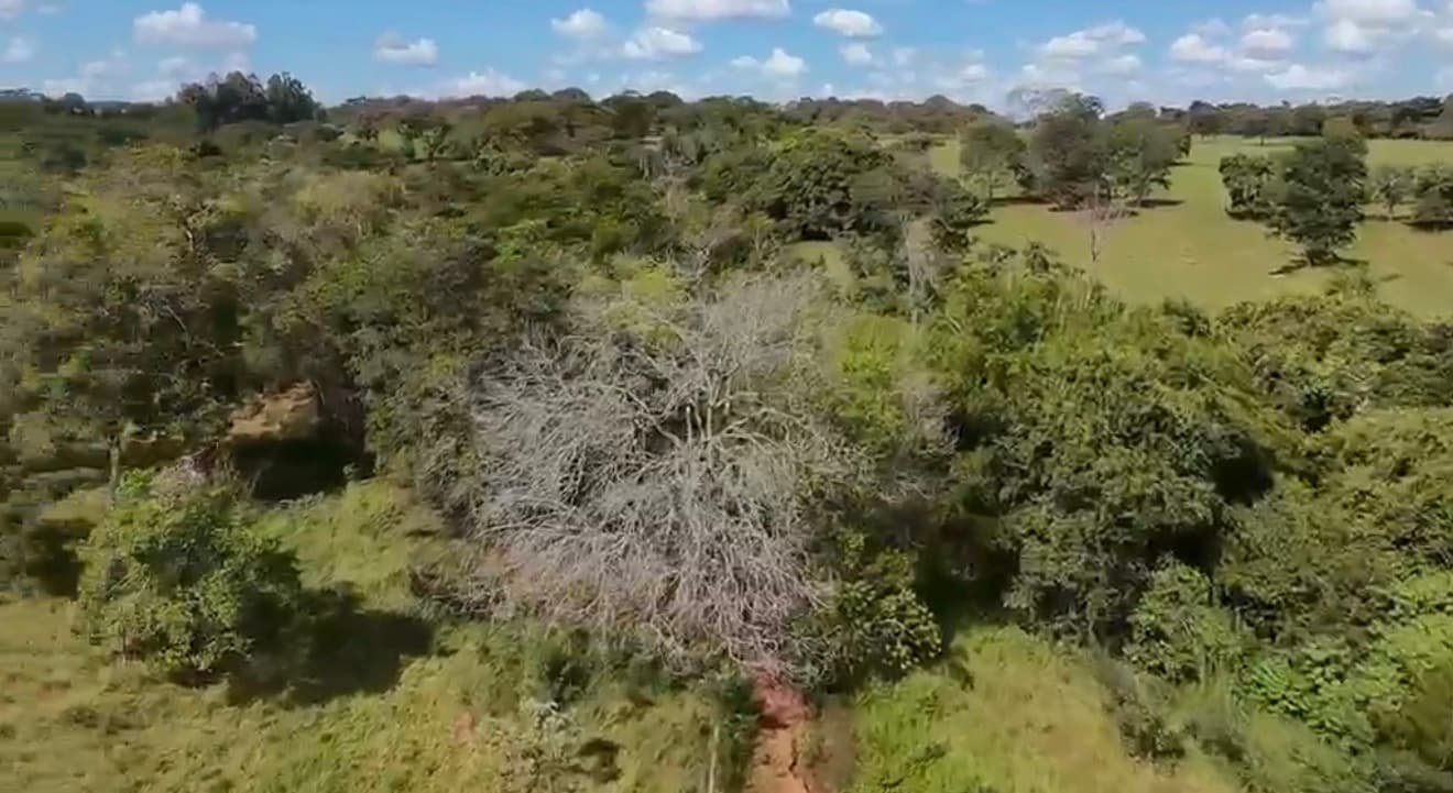 1 Alqueire em Terezopolis de Goiás (há 30 minutos de Goiânia)