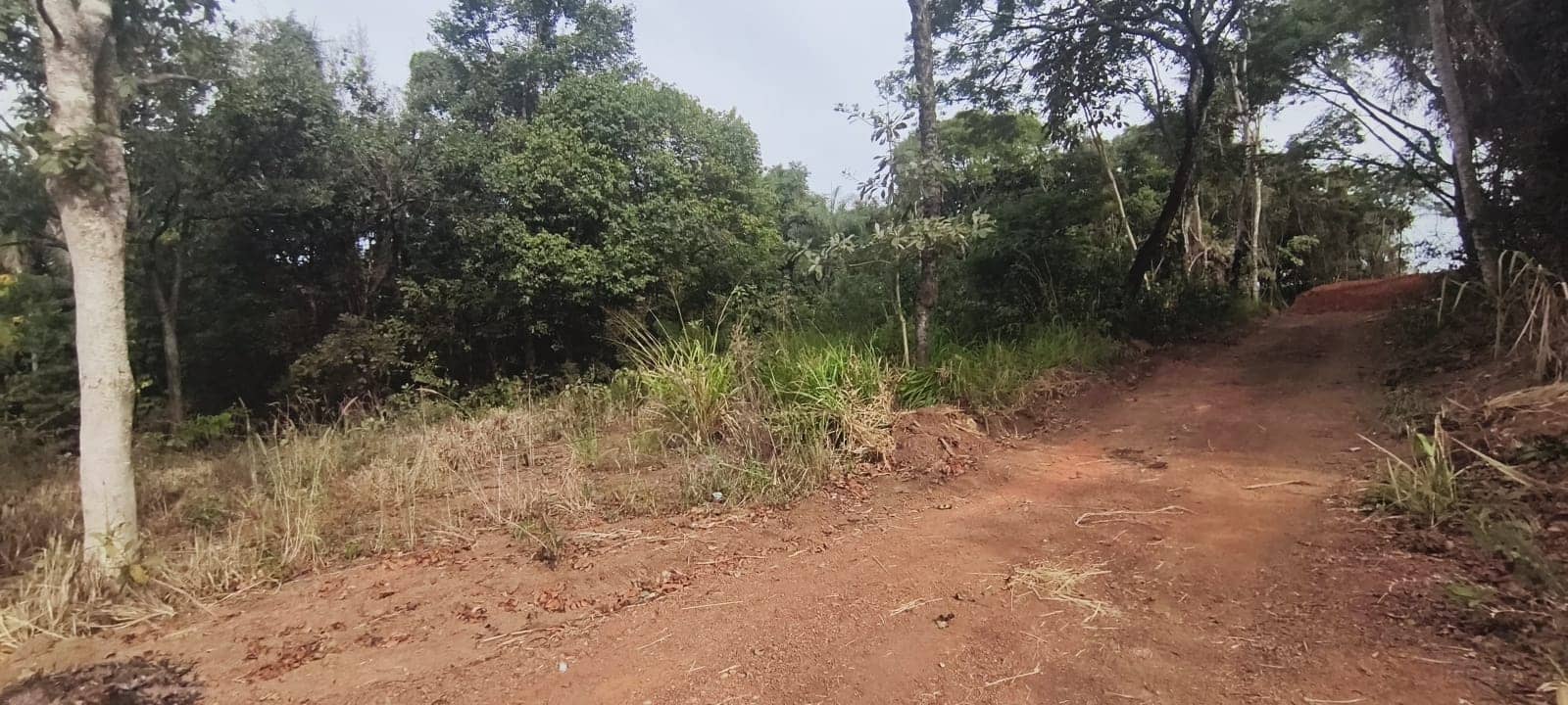 Oportunidade única lote na região da GO-020 466,09m²