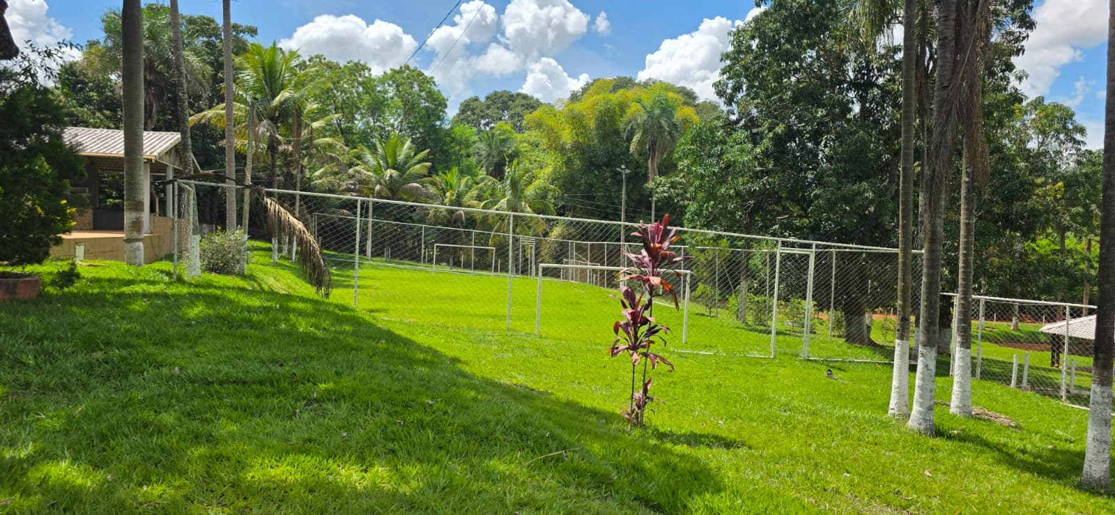 Chácara em Aragoiânia 9.967,90m²