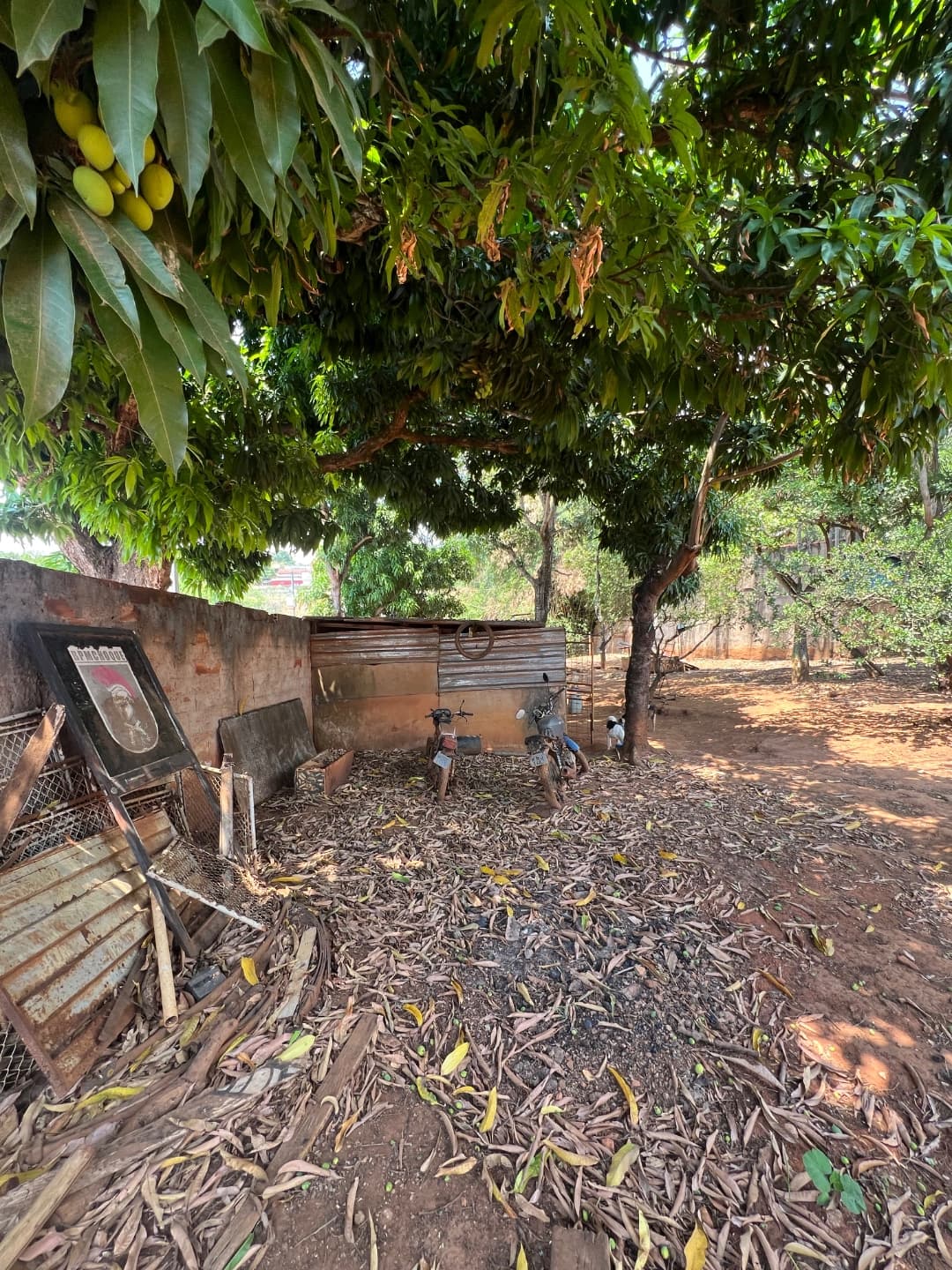 Lote Parque Atalaia