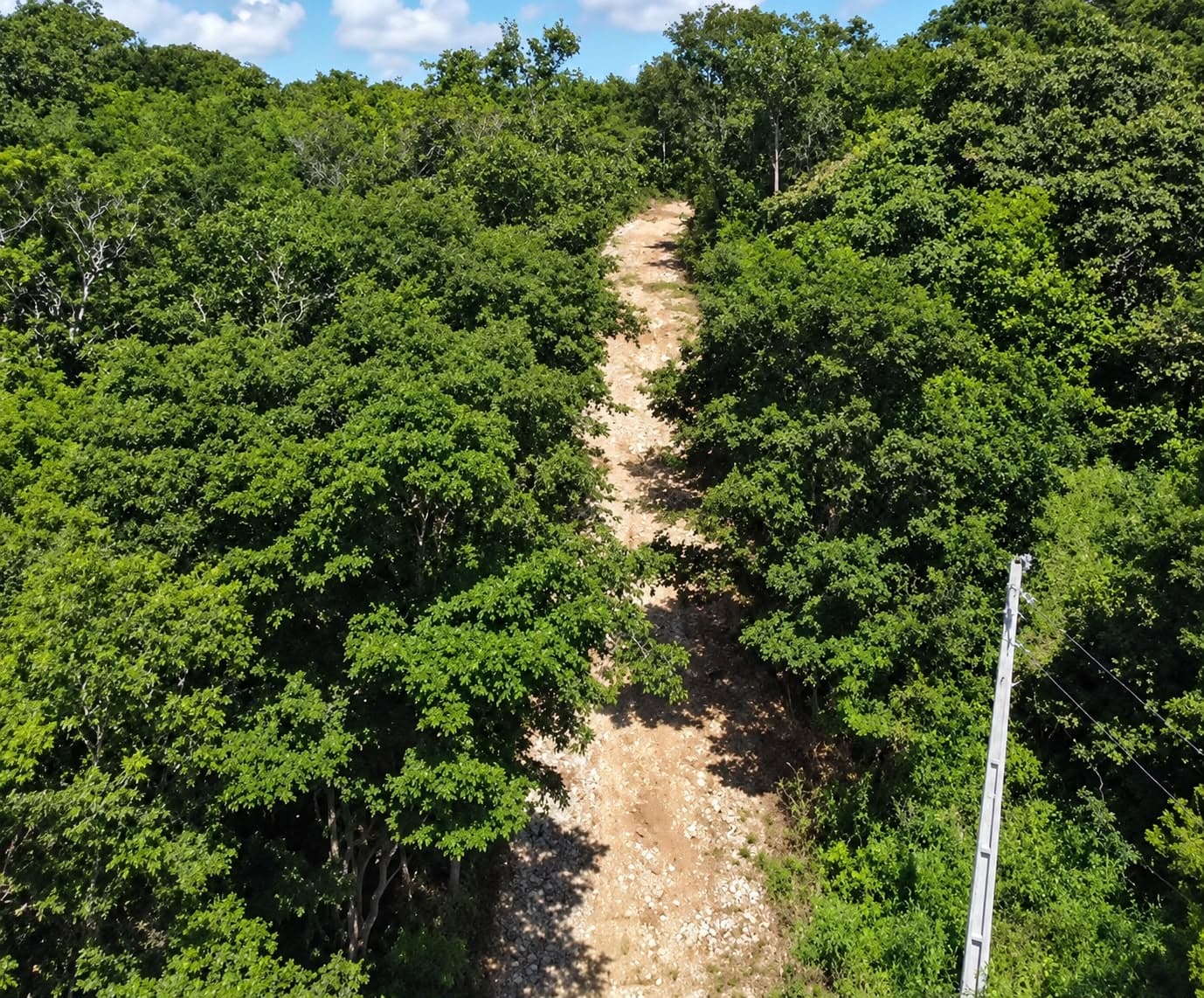 FAZENDA SARDINHA EM PIRENÓPOLIS - GO