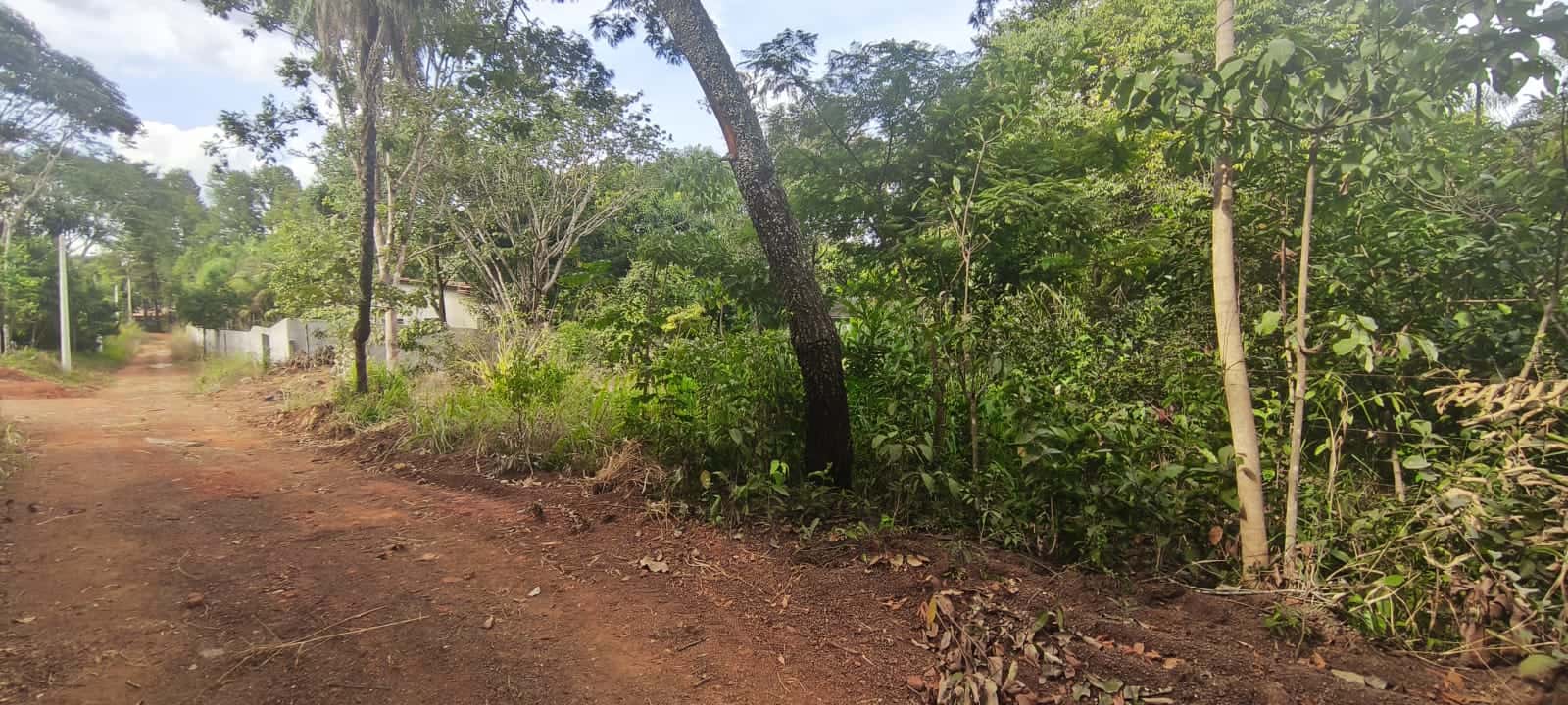 Oportunidade única lote na região da GO-020 466,09m²