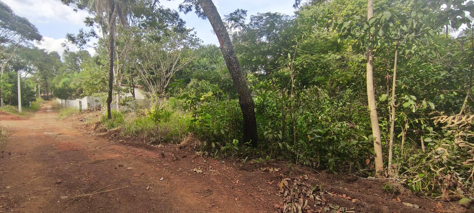 Oportunidade única lote na região da GO-020 466,09m²