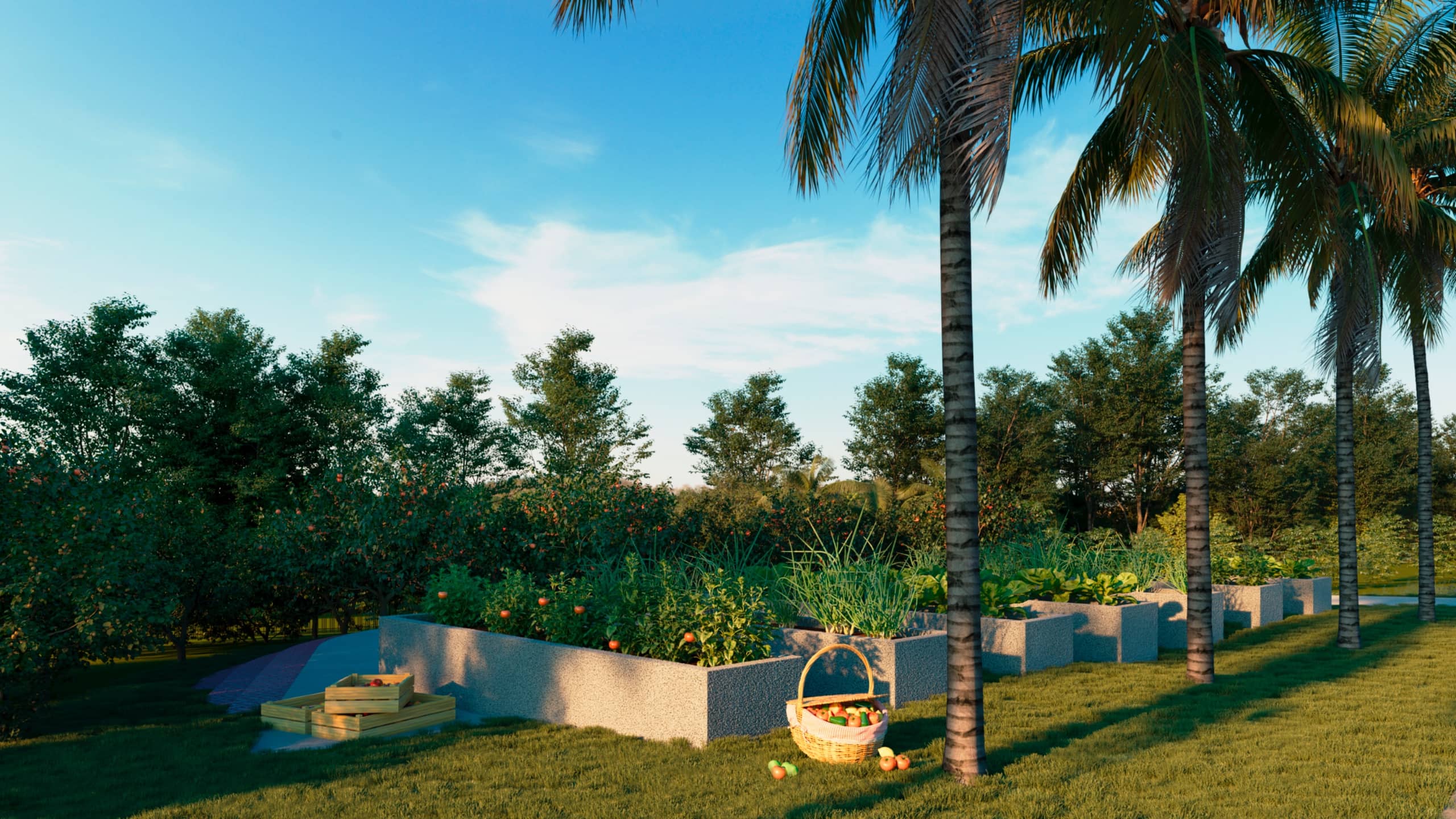 Lote no Jardins Miami 226m²