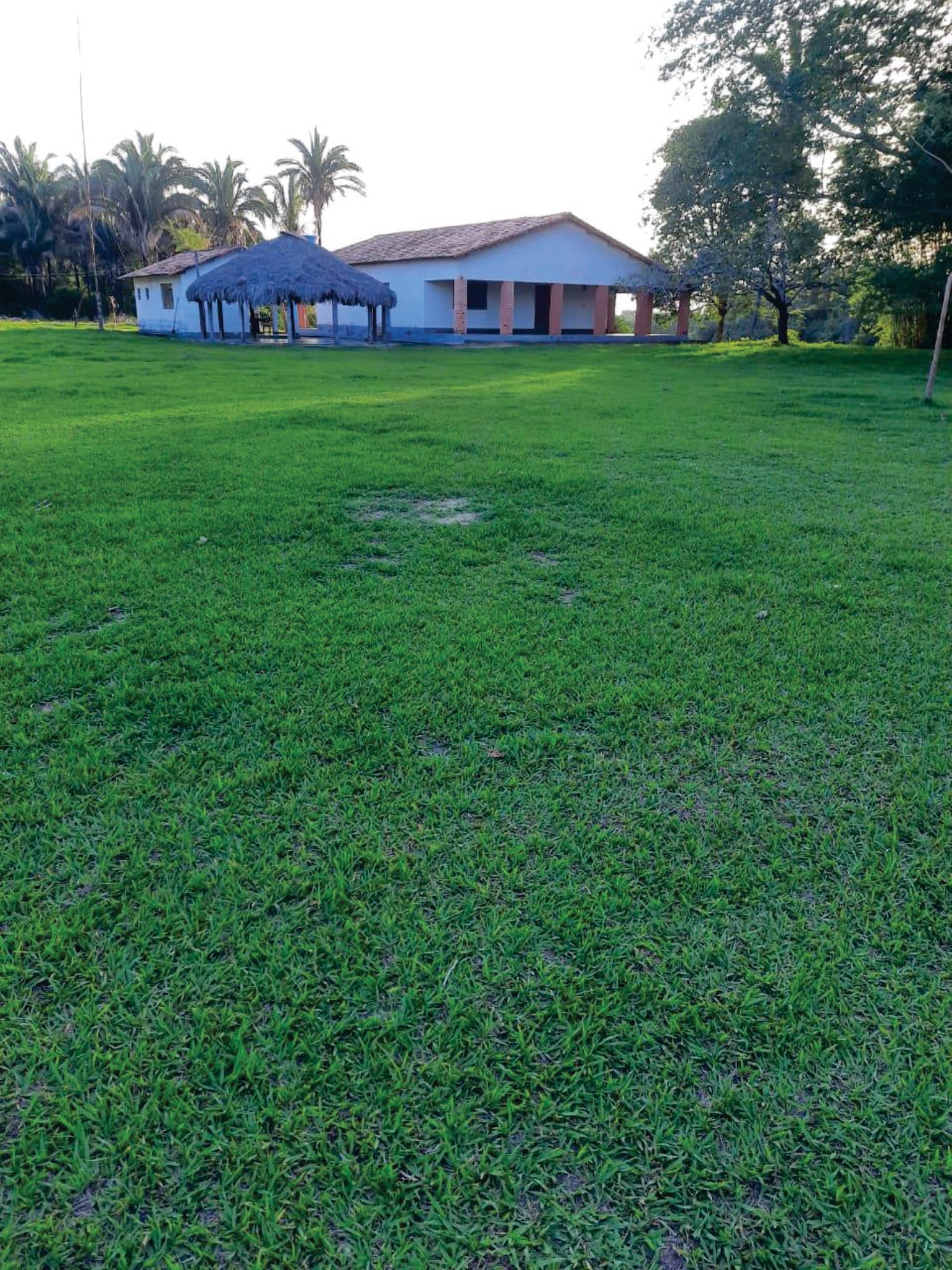 Fazenda com 7.069,01 ha no município de Cocalinho Mato Grosso Divisa com Goiás e Mato Grosso