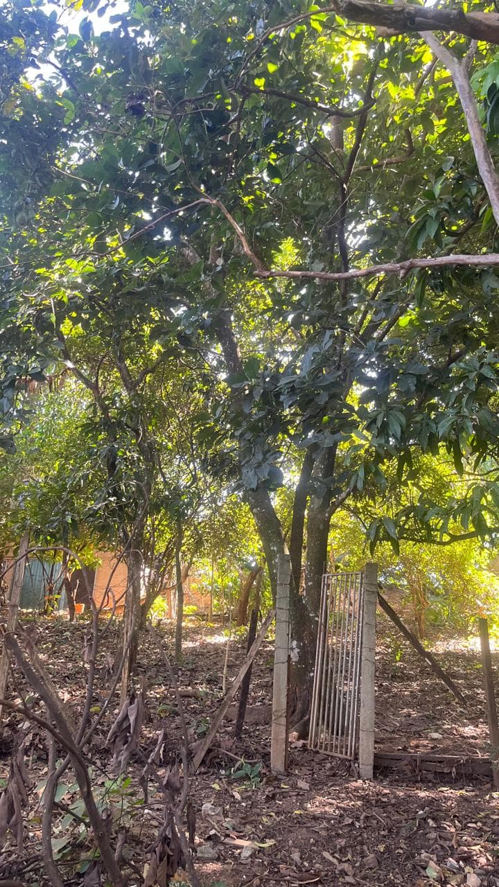 Chácara Jardim Novo Mundo 2987m²