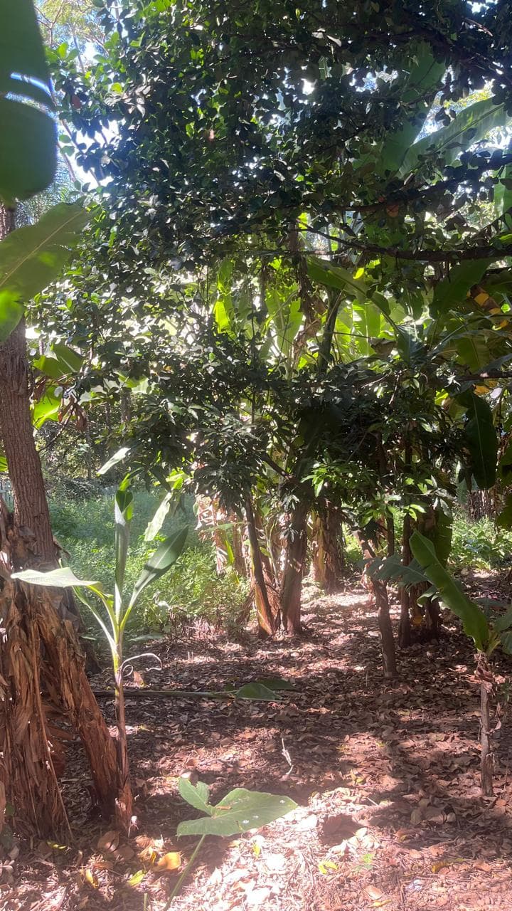 Chácara Jardim Novo Mundo 2987m²