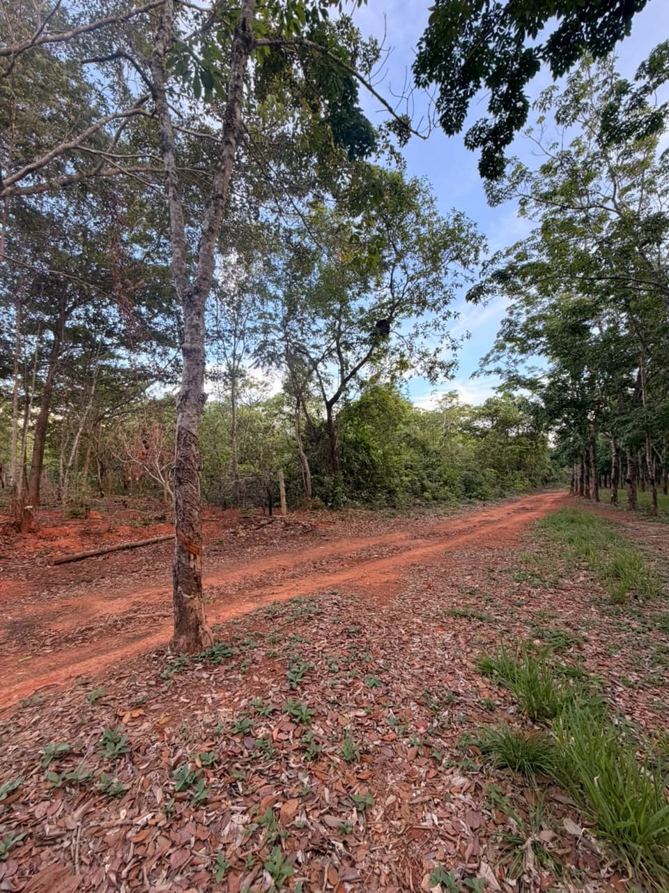 TERRENOS EM PIRENOPOLIS
